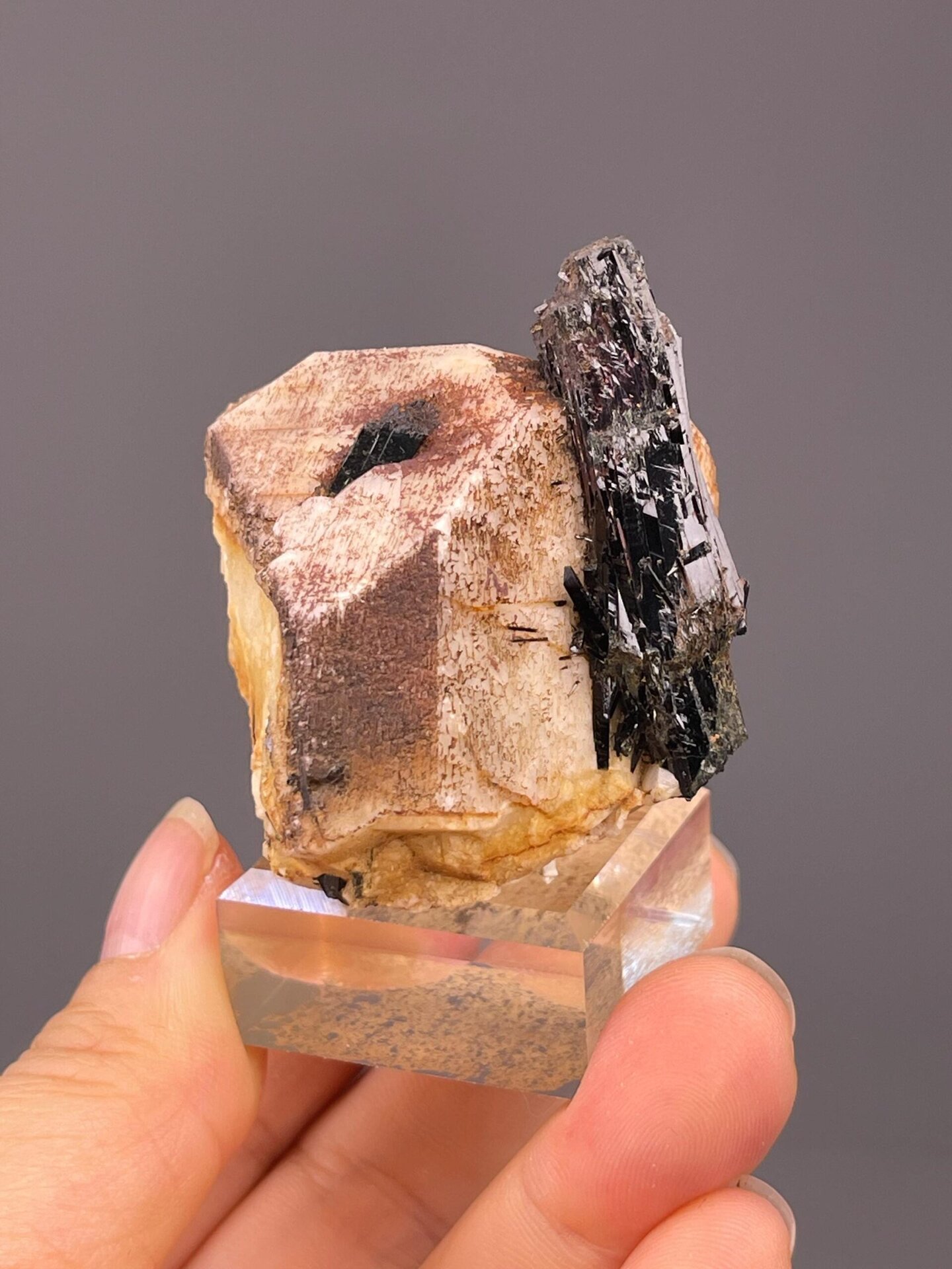 Close-up of striated black tourmaline prisms in matrix