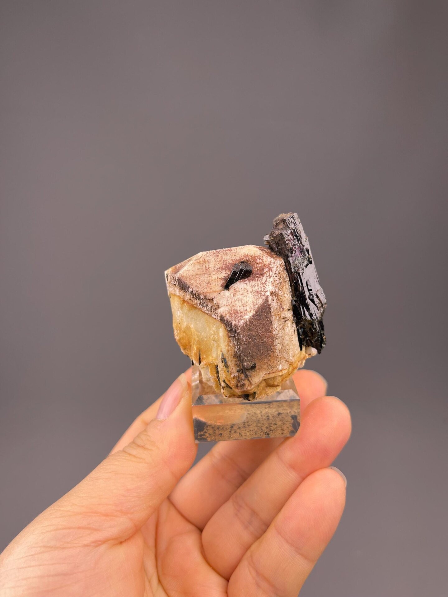Side view of black tourmaline feldspar matrix specimen