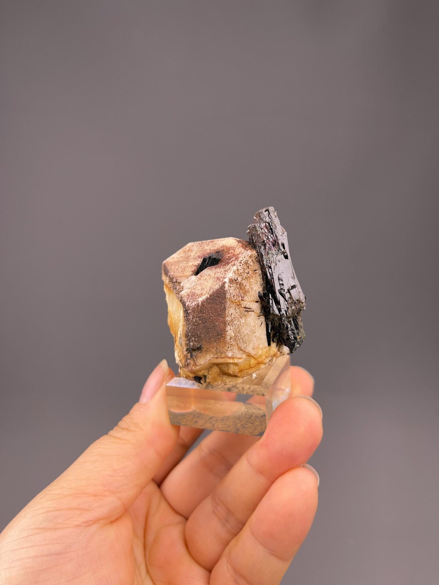 Multiple black tourmaline crystals on white feldspar
