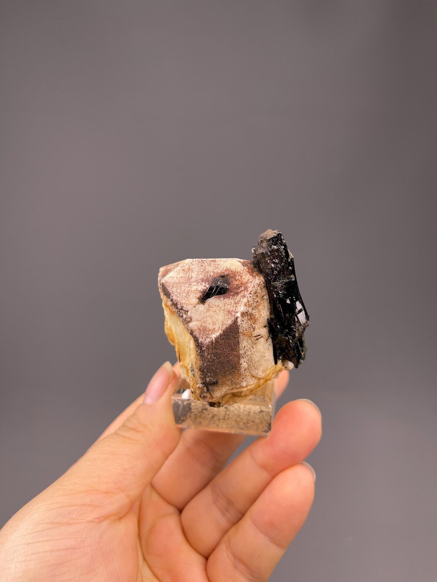 Top view of black tourmaline in feldspar matrix