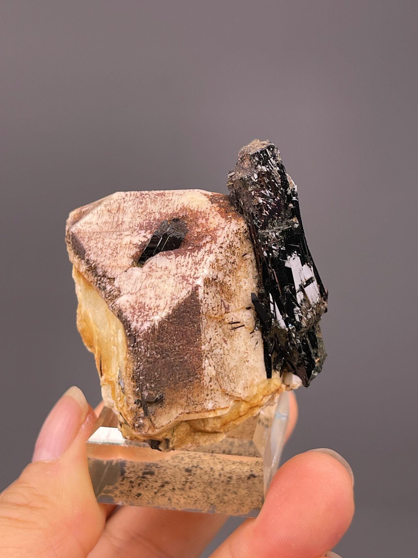 Striated prismatic black tourmaline crystal detail