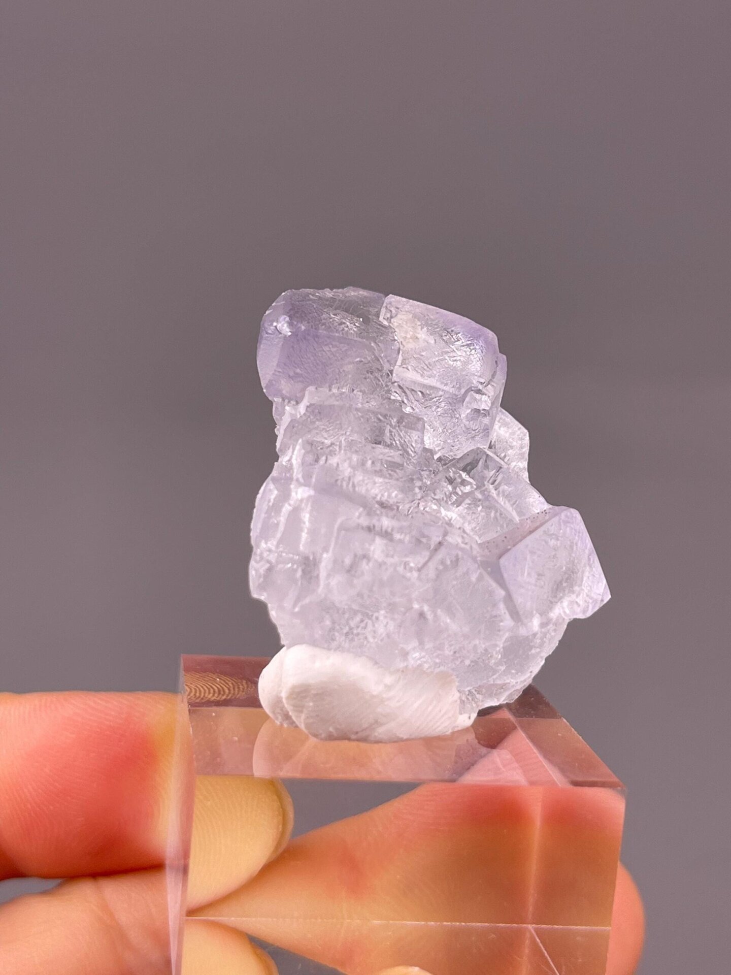 Backlit transparent fluorite showing internal clarity