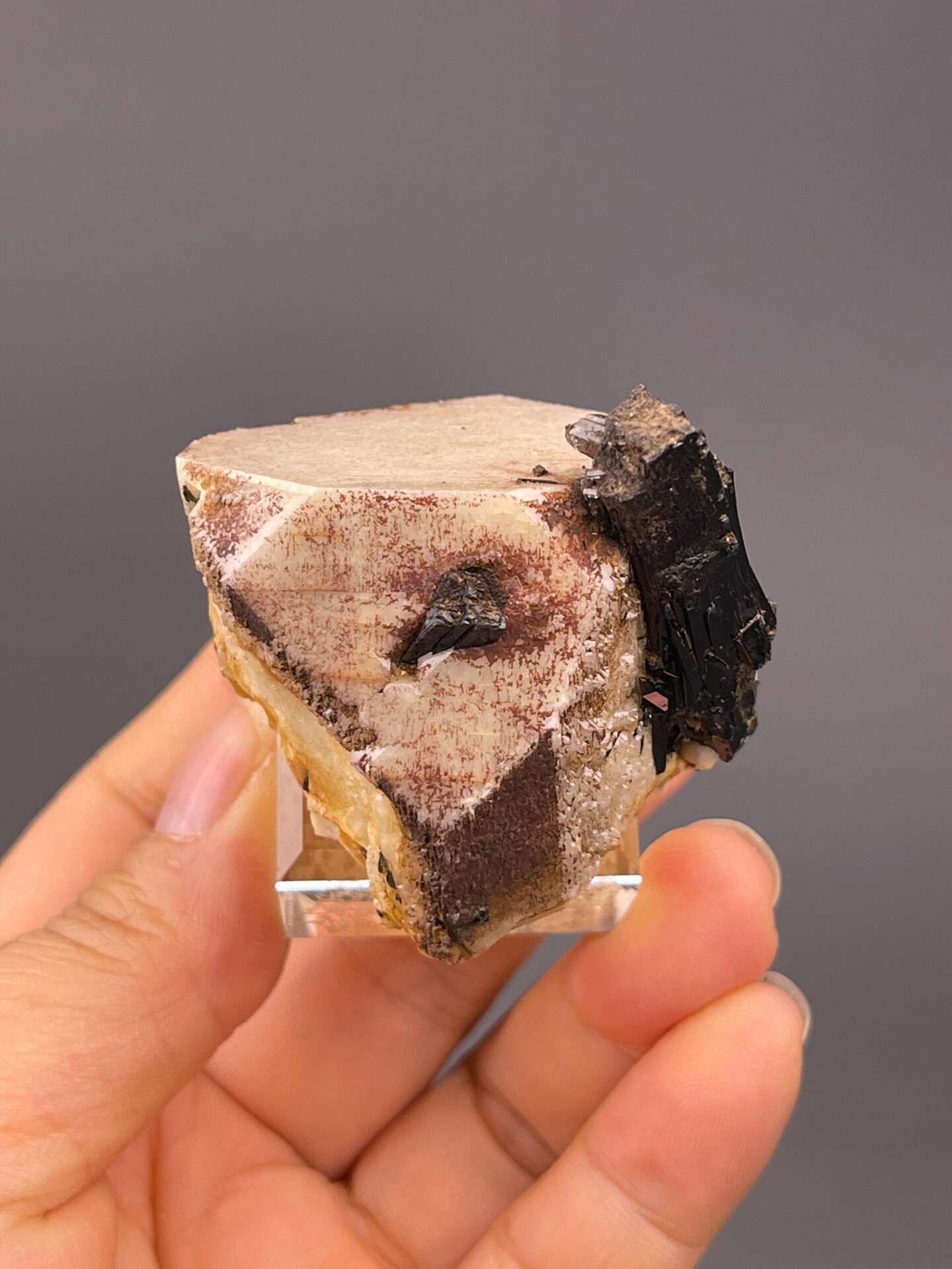 Black tourmaline schorl crystals against pale feldspar