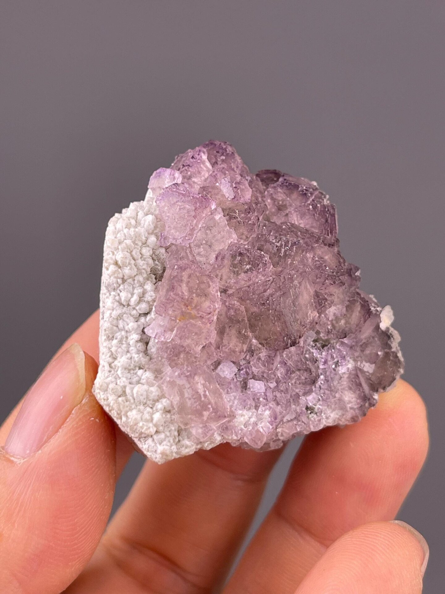 Full elongated purple fluorite on white background
