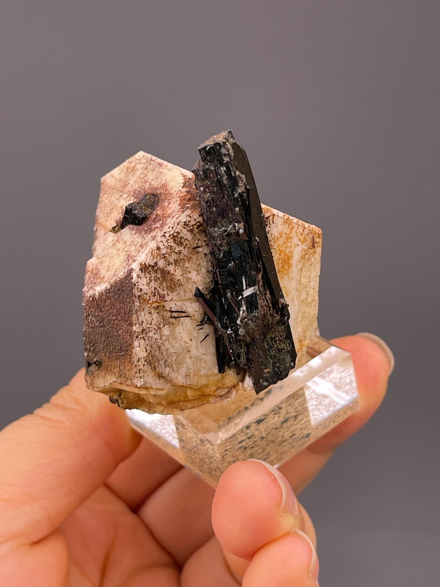 Namibia black tourmaline in matrix with ruler scale