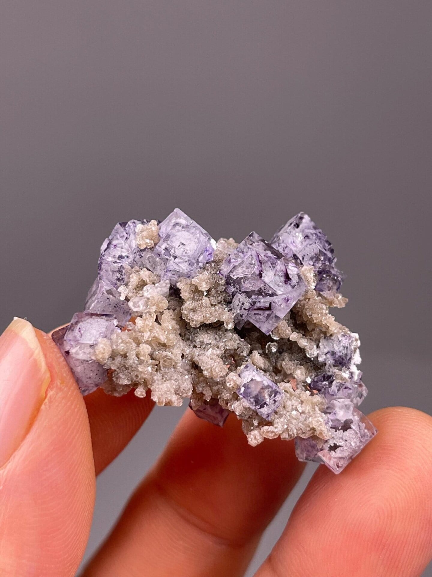Purple fluorite Yaogangxian set scale reference