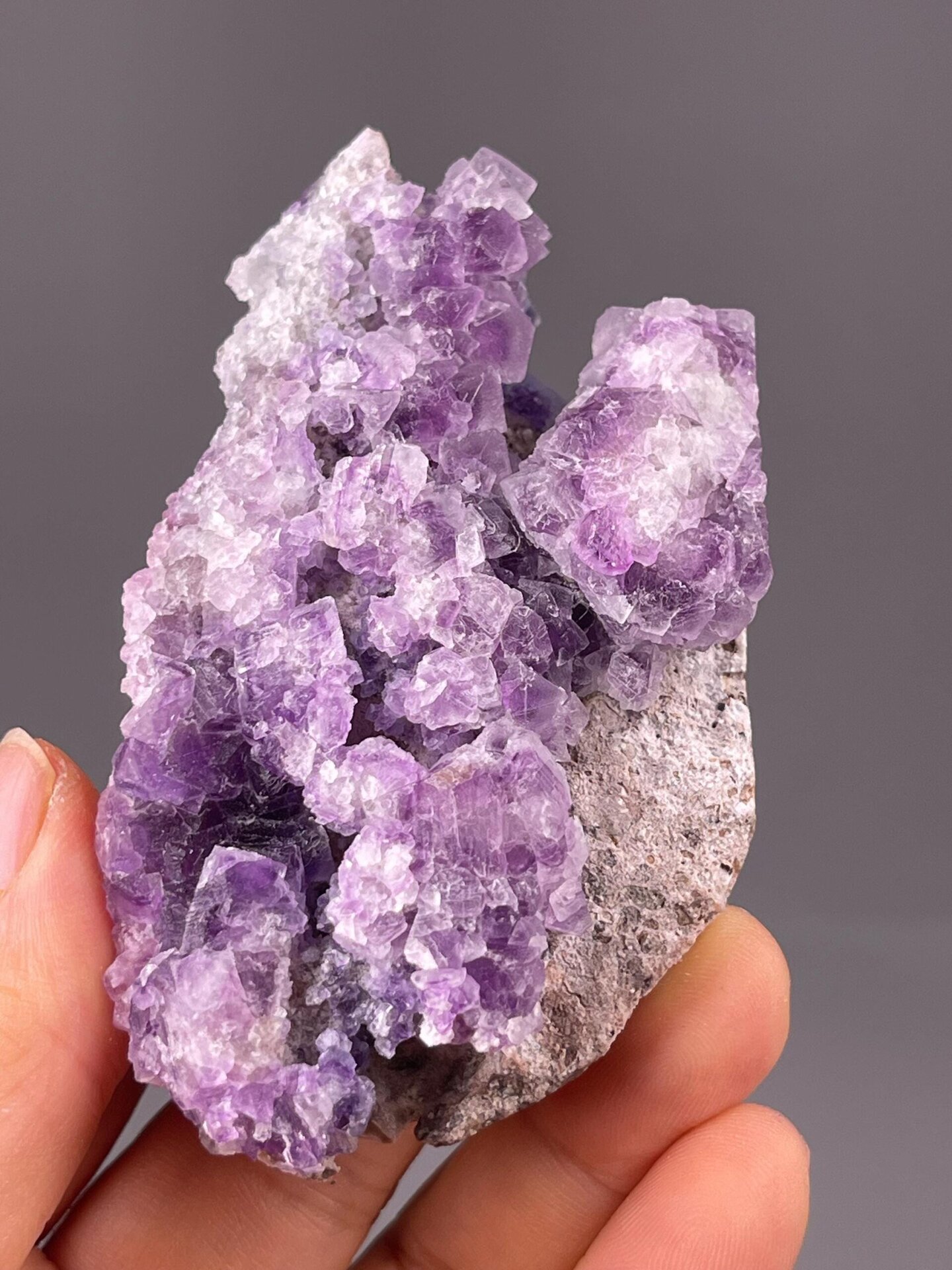 Purple fluorite cubic crystal cluster Hunan China front view