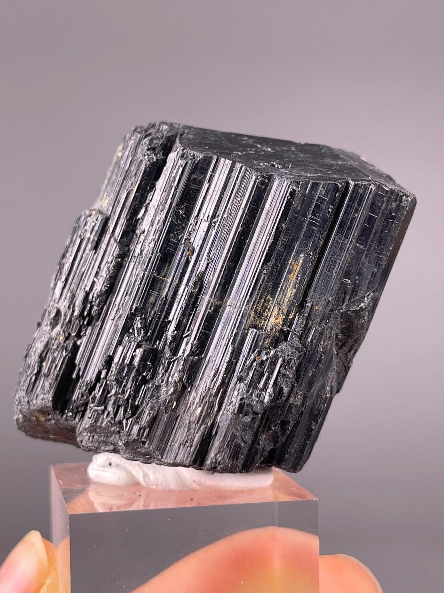 Black Tourmaline specimen