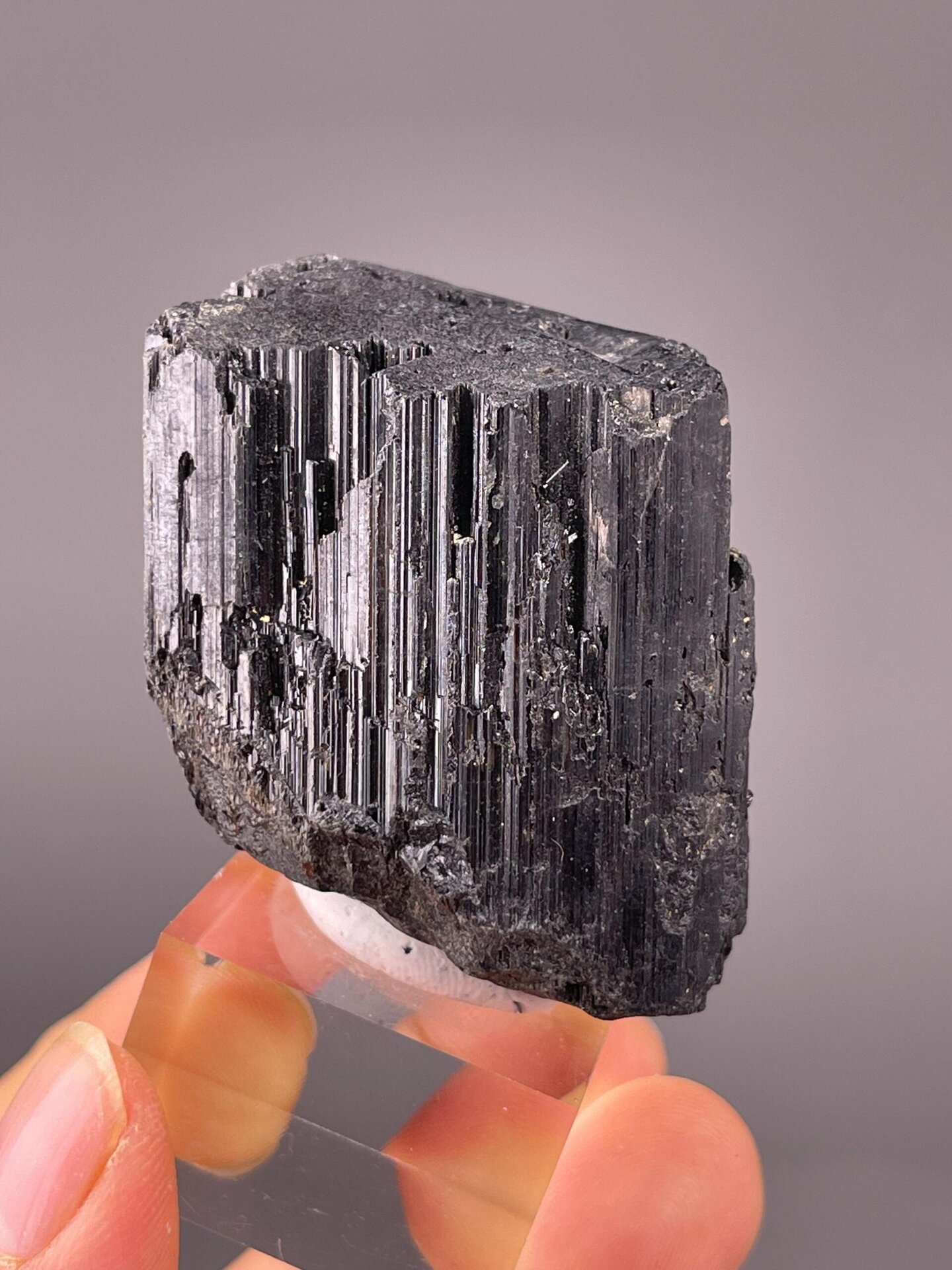 Black Tourmaline specimen