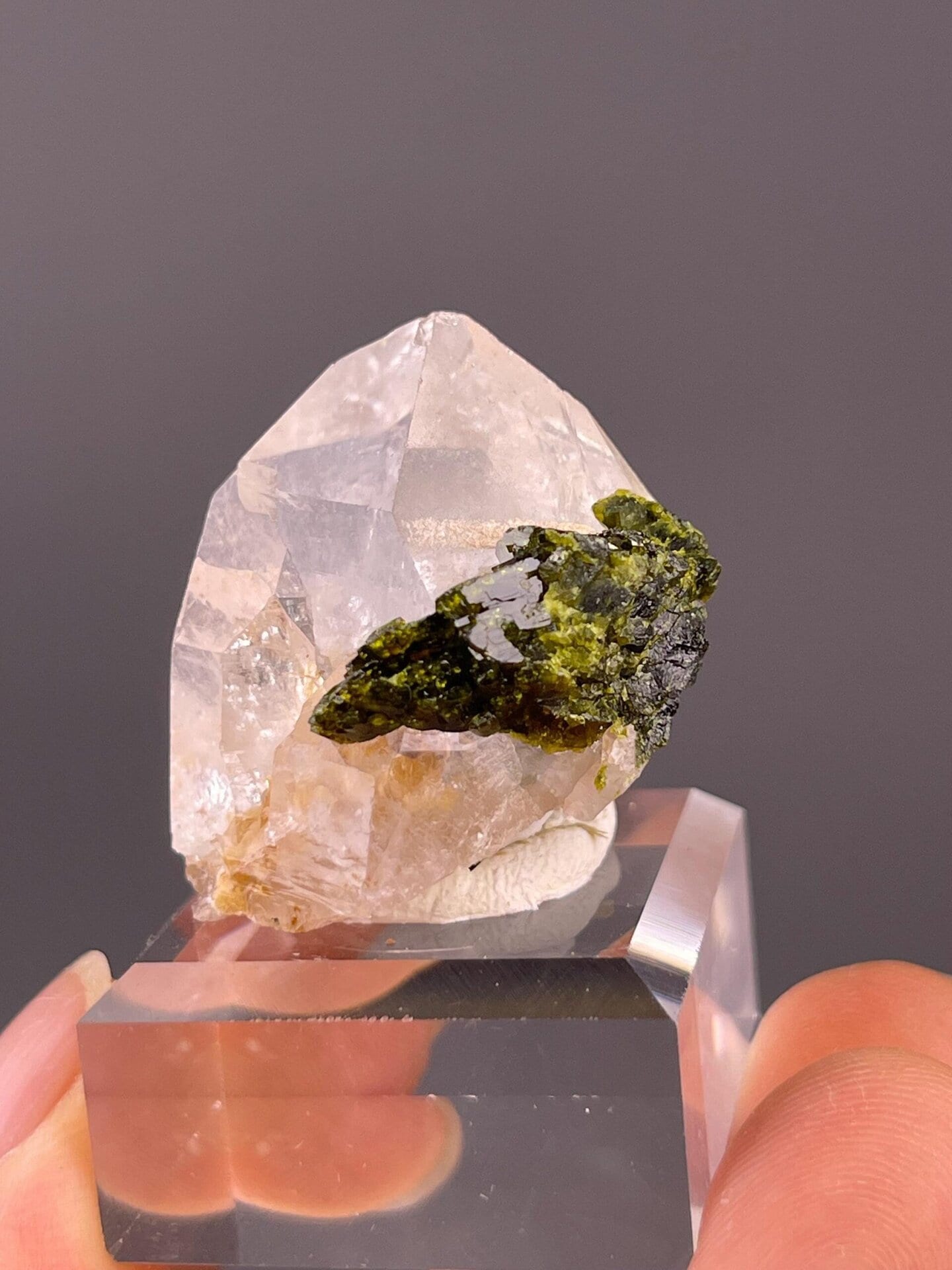 Terminated quartz point garden quartz close-up