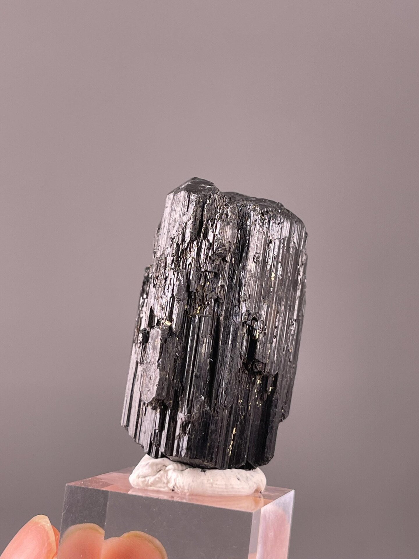 Side view of raw black tourmaline showing crystal length