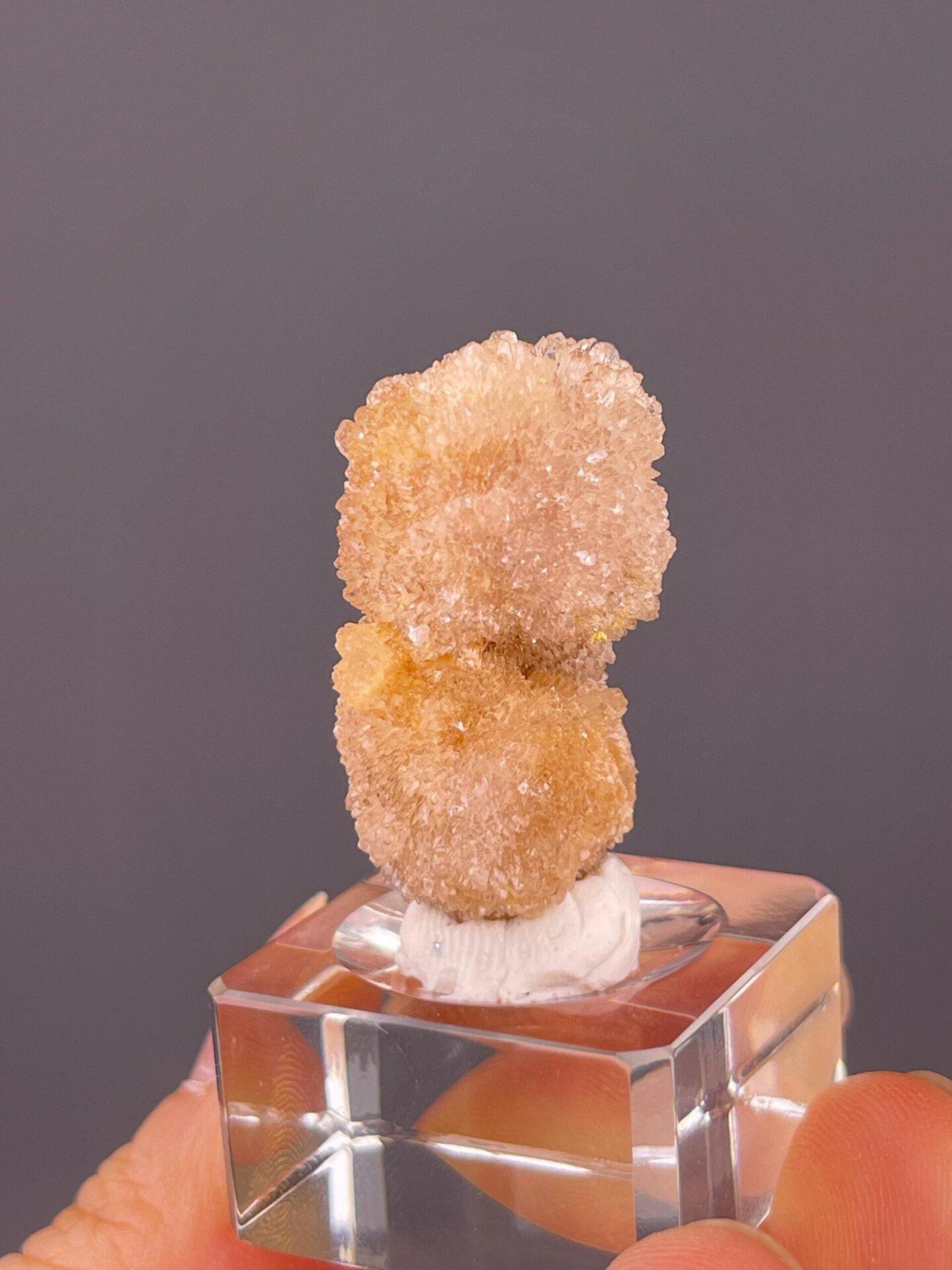 Gypsum needle clusters under studio lighting