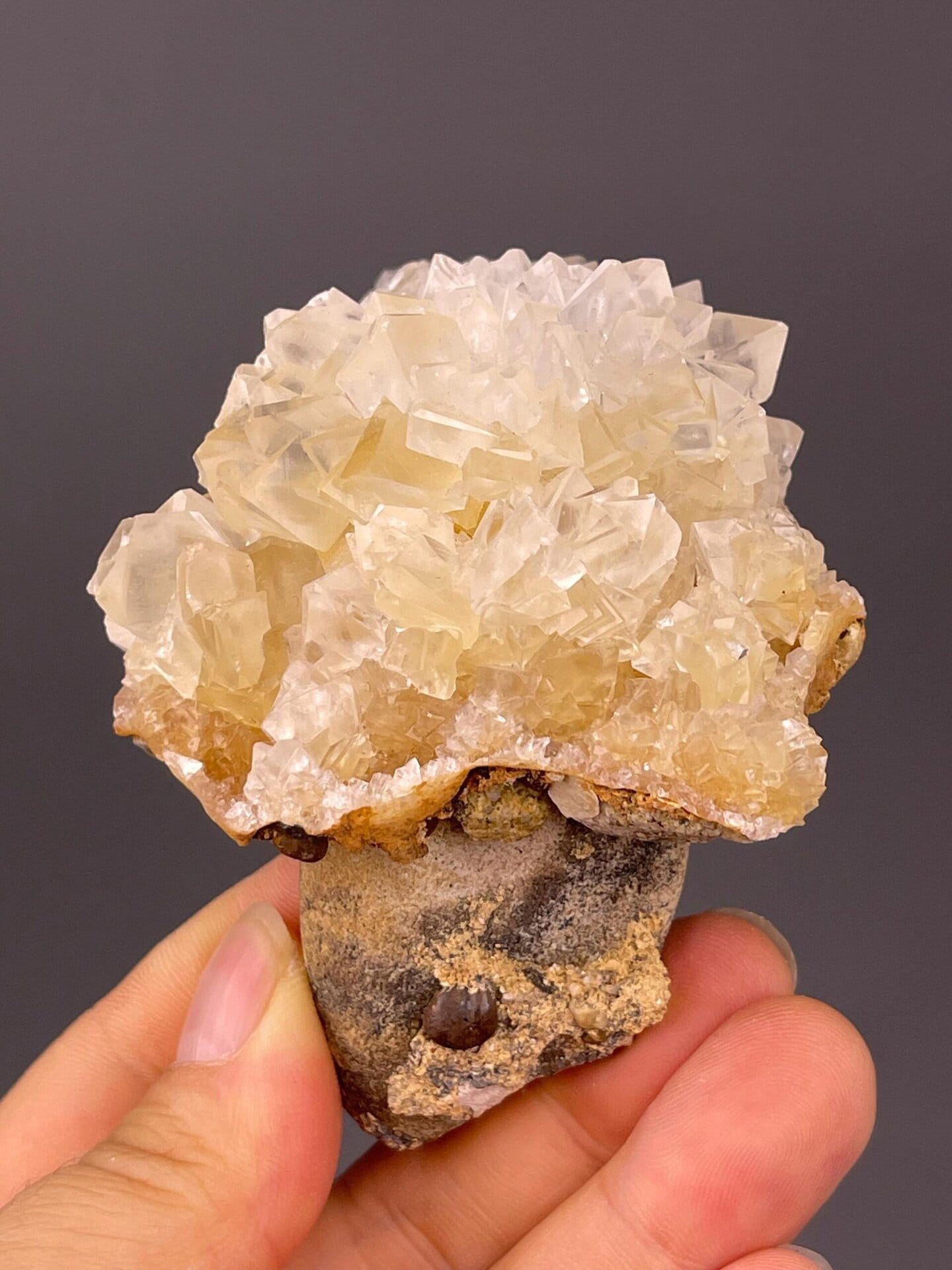 Front view of gypsum flower rosette from Daye Mine