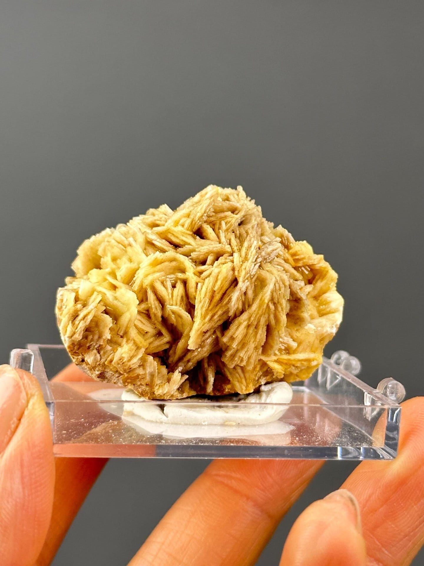 Front view of golden yellow barite crystal cluster from China