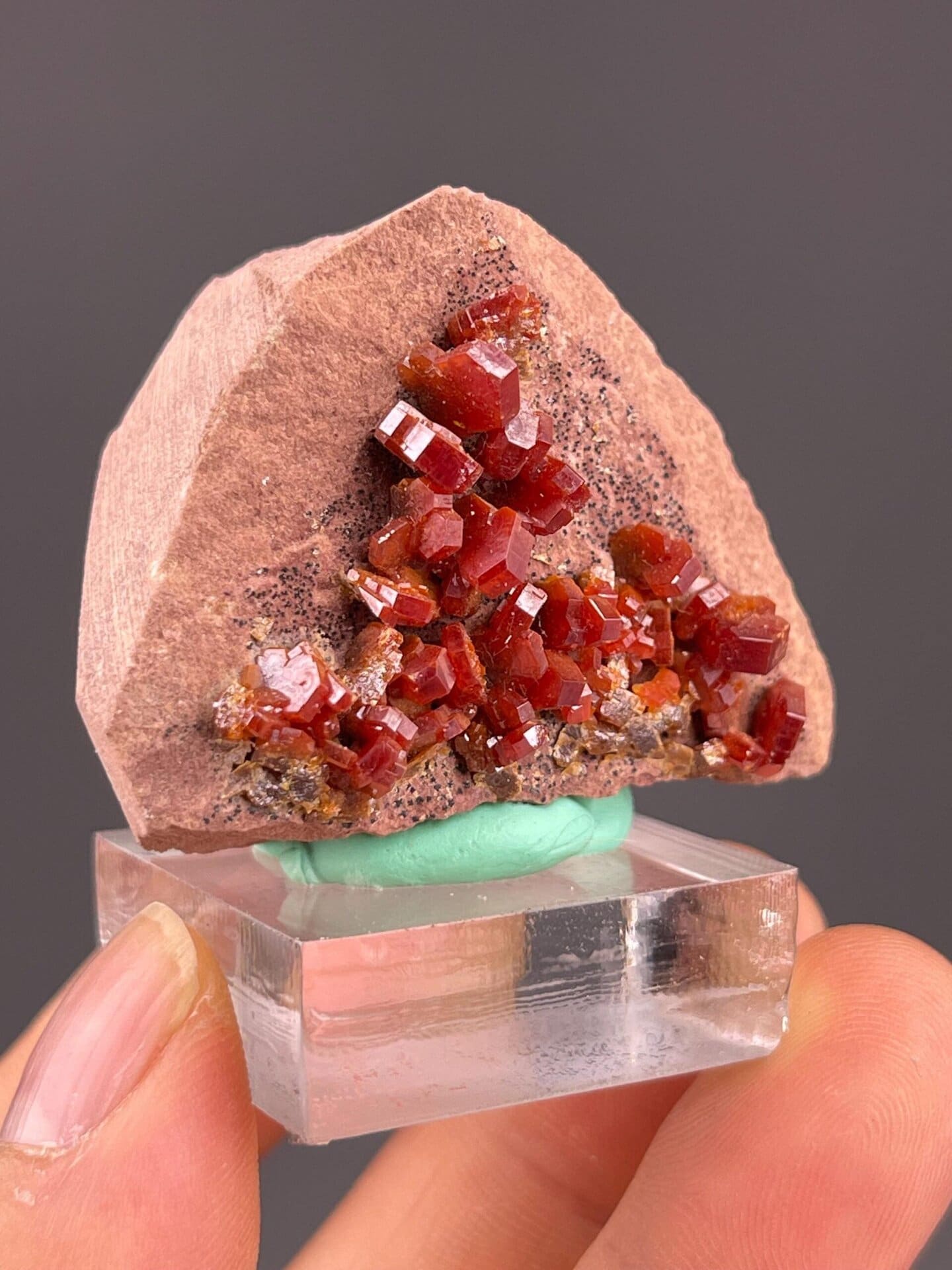 Carpet of red vanadinite crystals on matrix