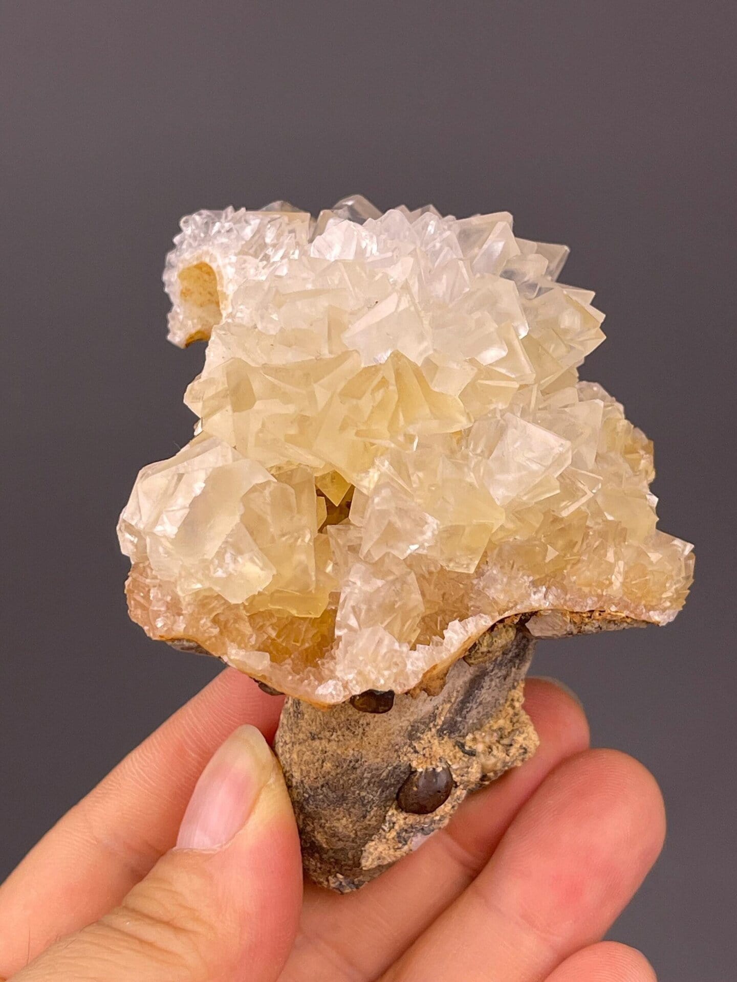 Side view of gypsum flower rosette