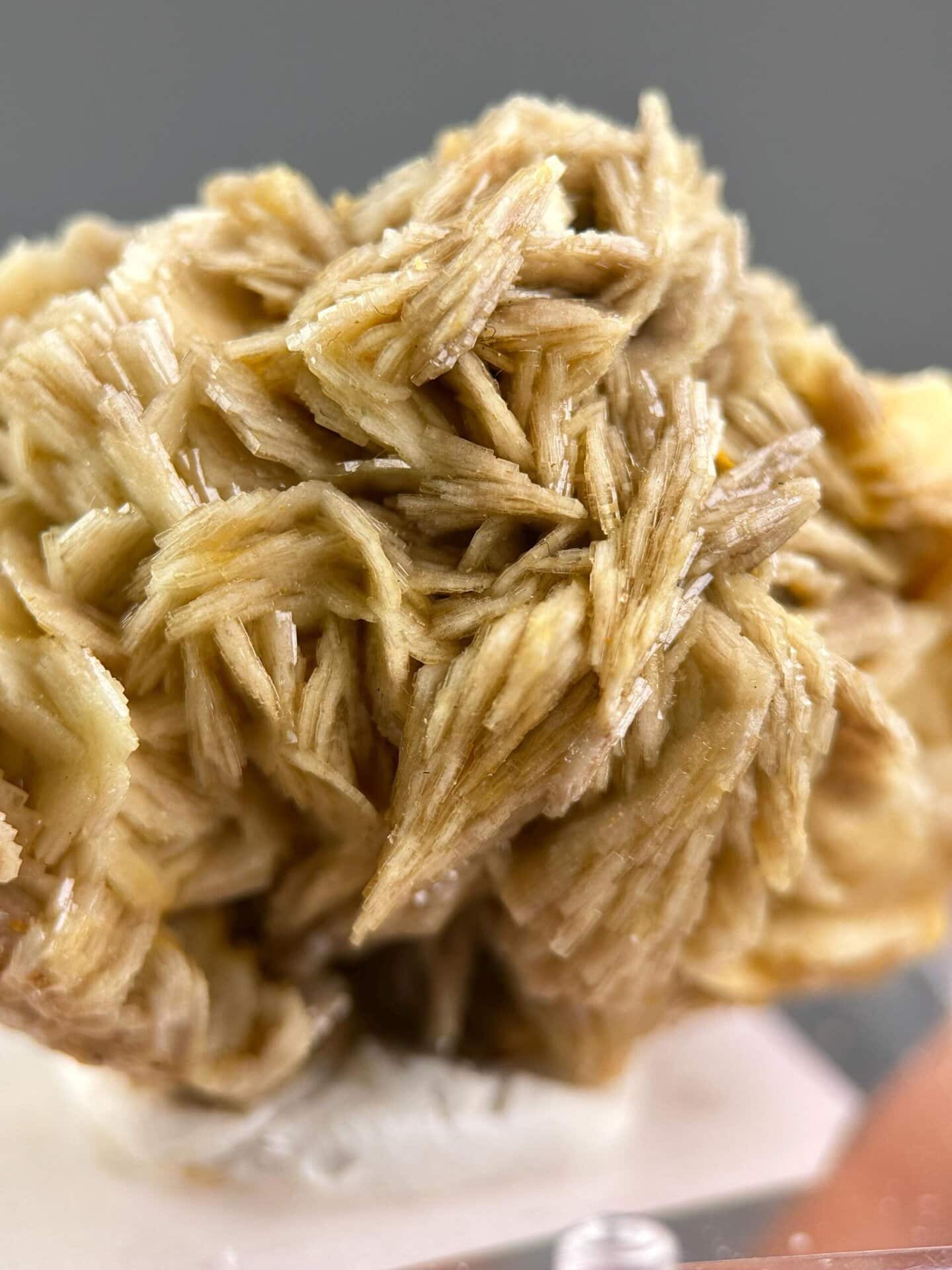 Vibrant yellow hues of golden barite under studio lighting