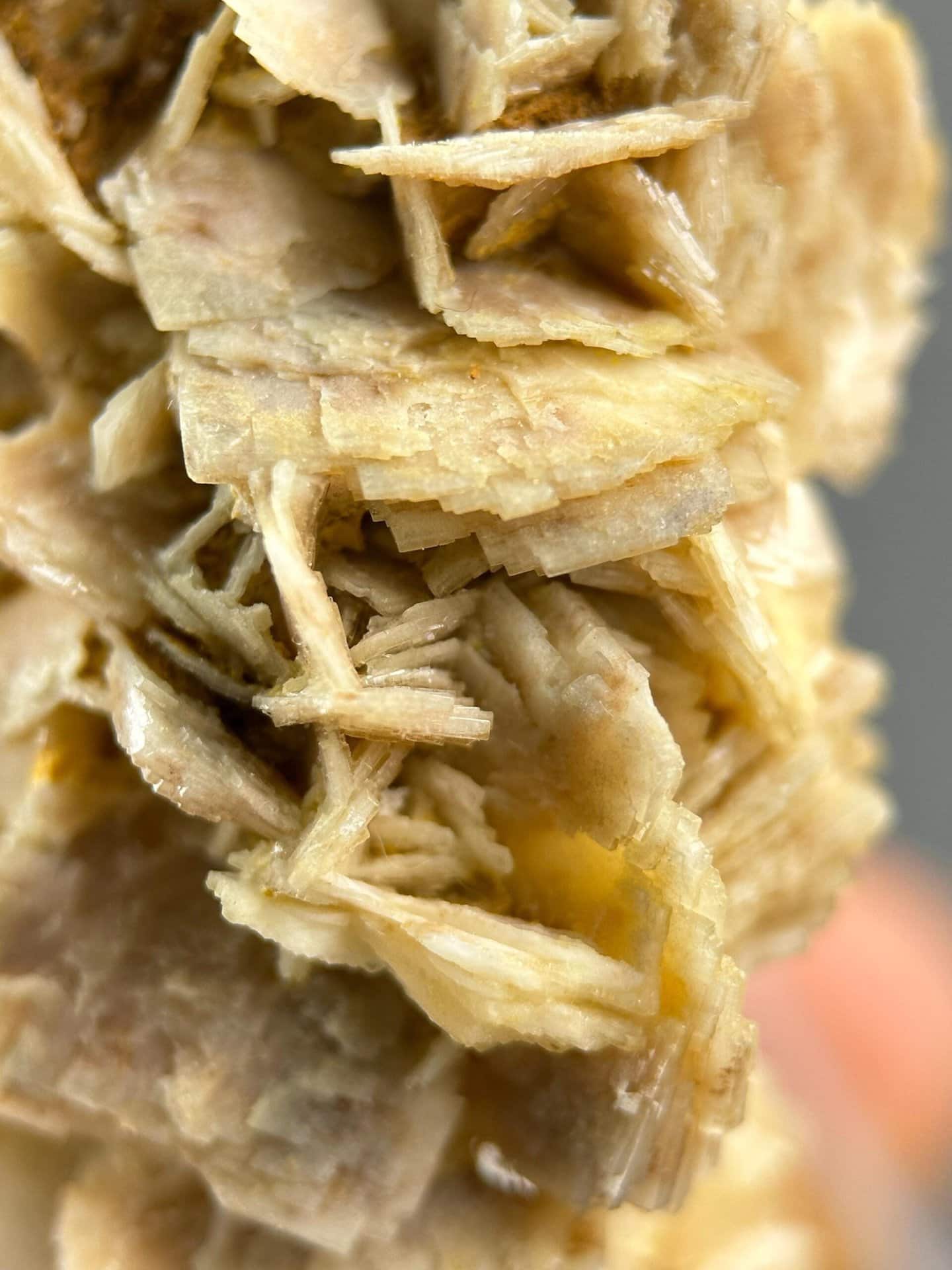 Natural golden barite mineral specimen view