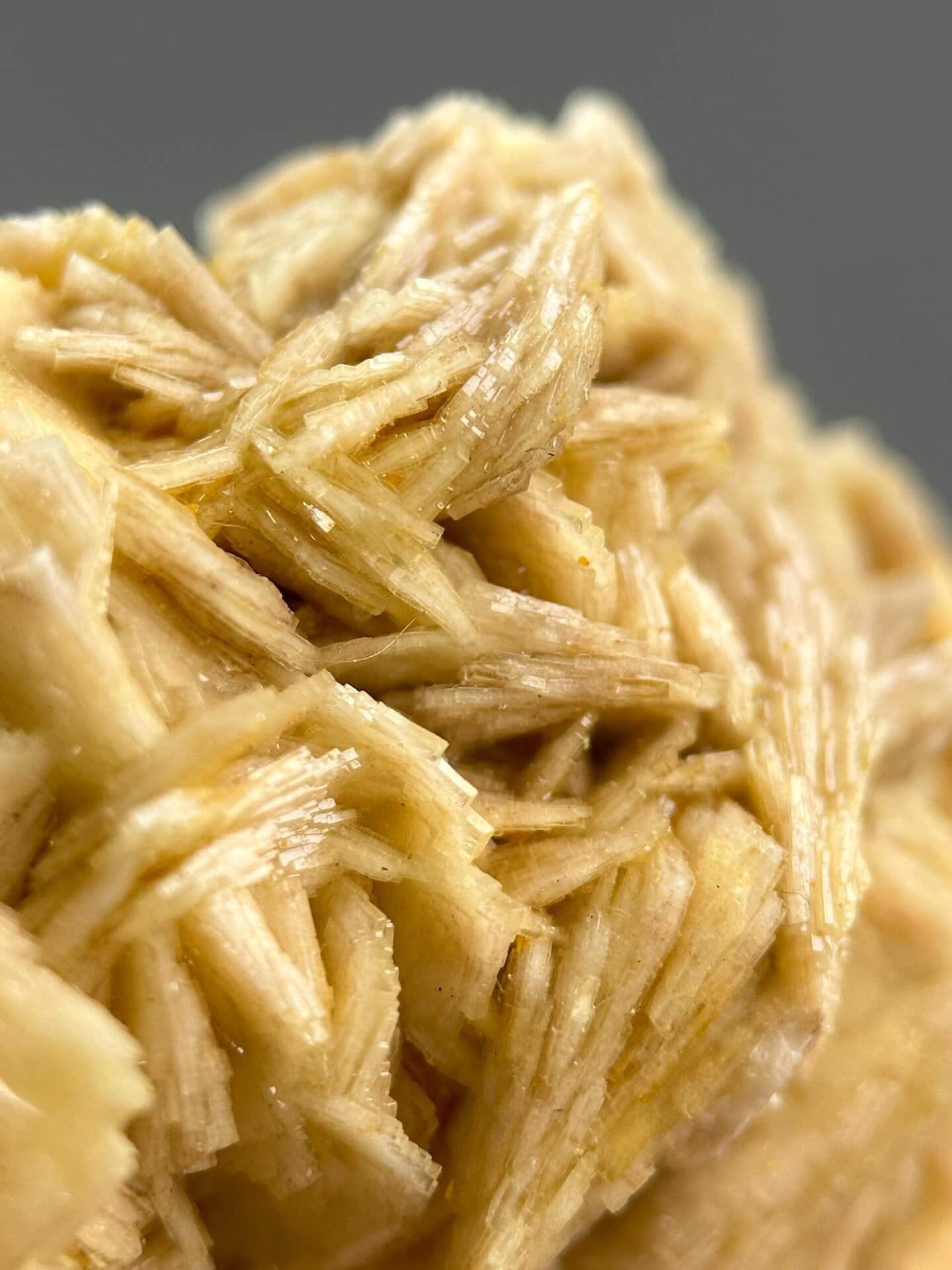 Resinous luster detail on golden barite crystals