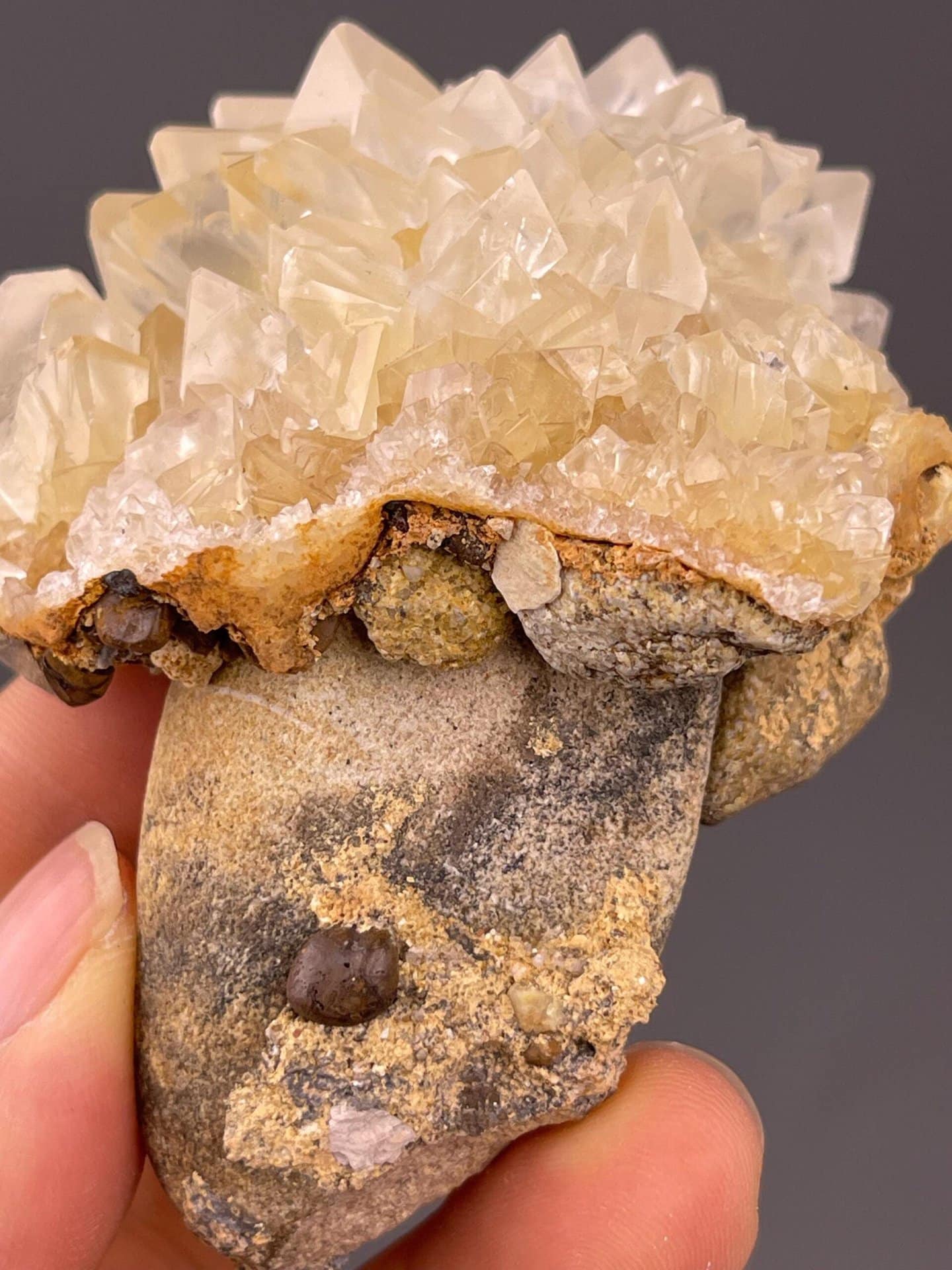 Radiating gypsum crystal blades detail