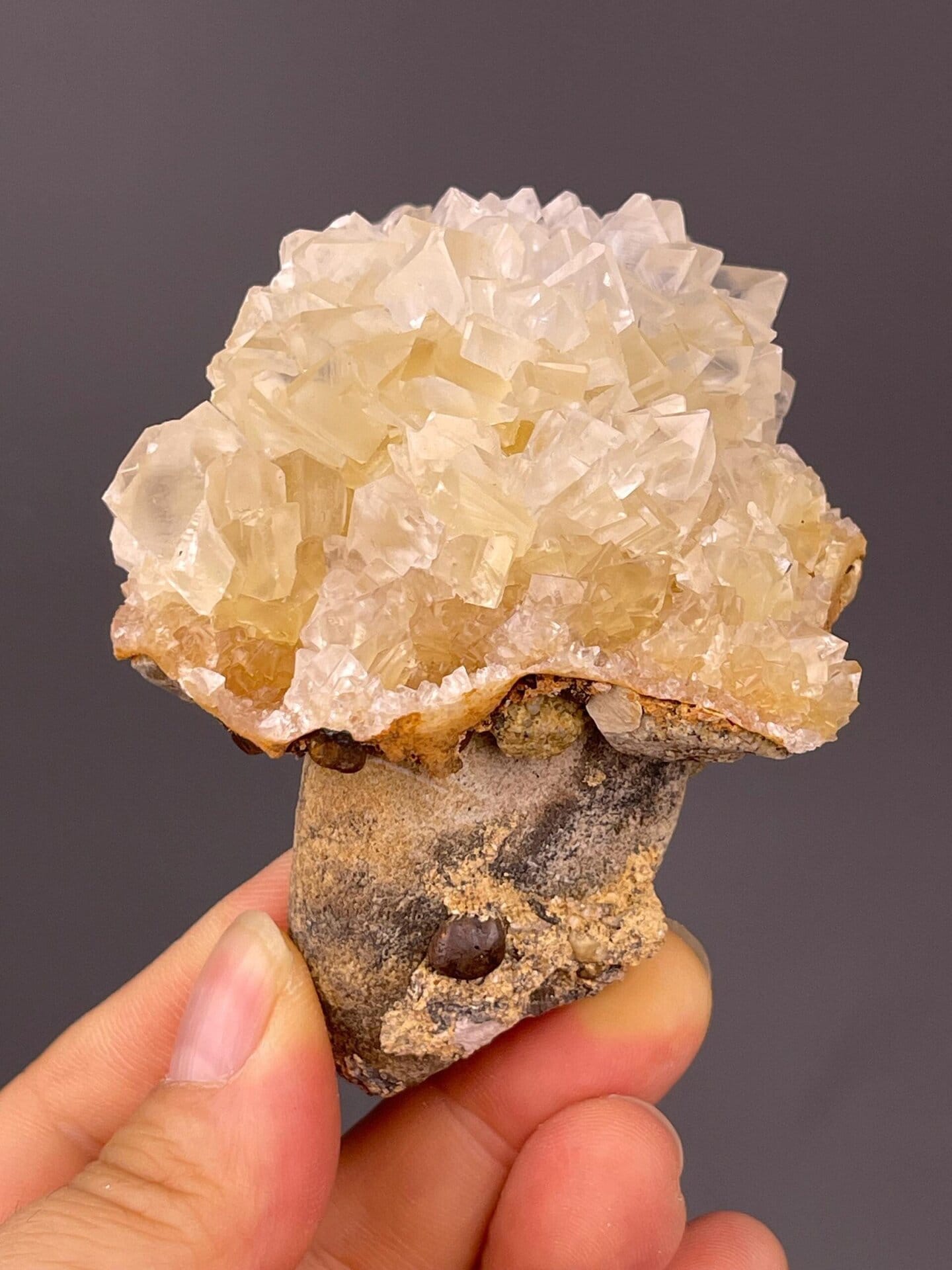 Scale reference of gypsum flower rosette from Daye Mine
