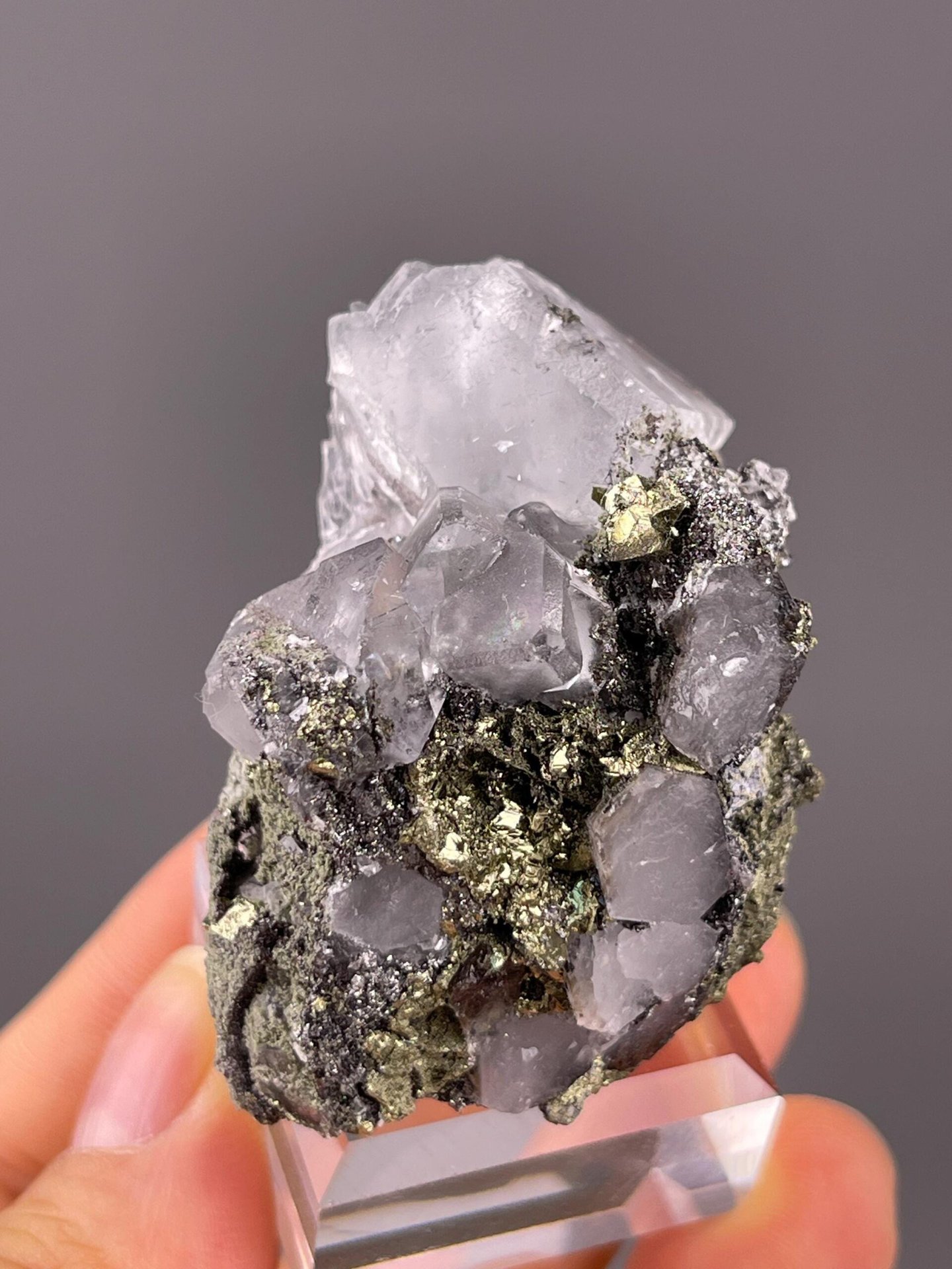 Side view of fluorite and pyrite mineral specimen