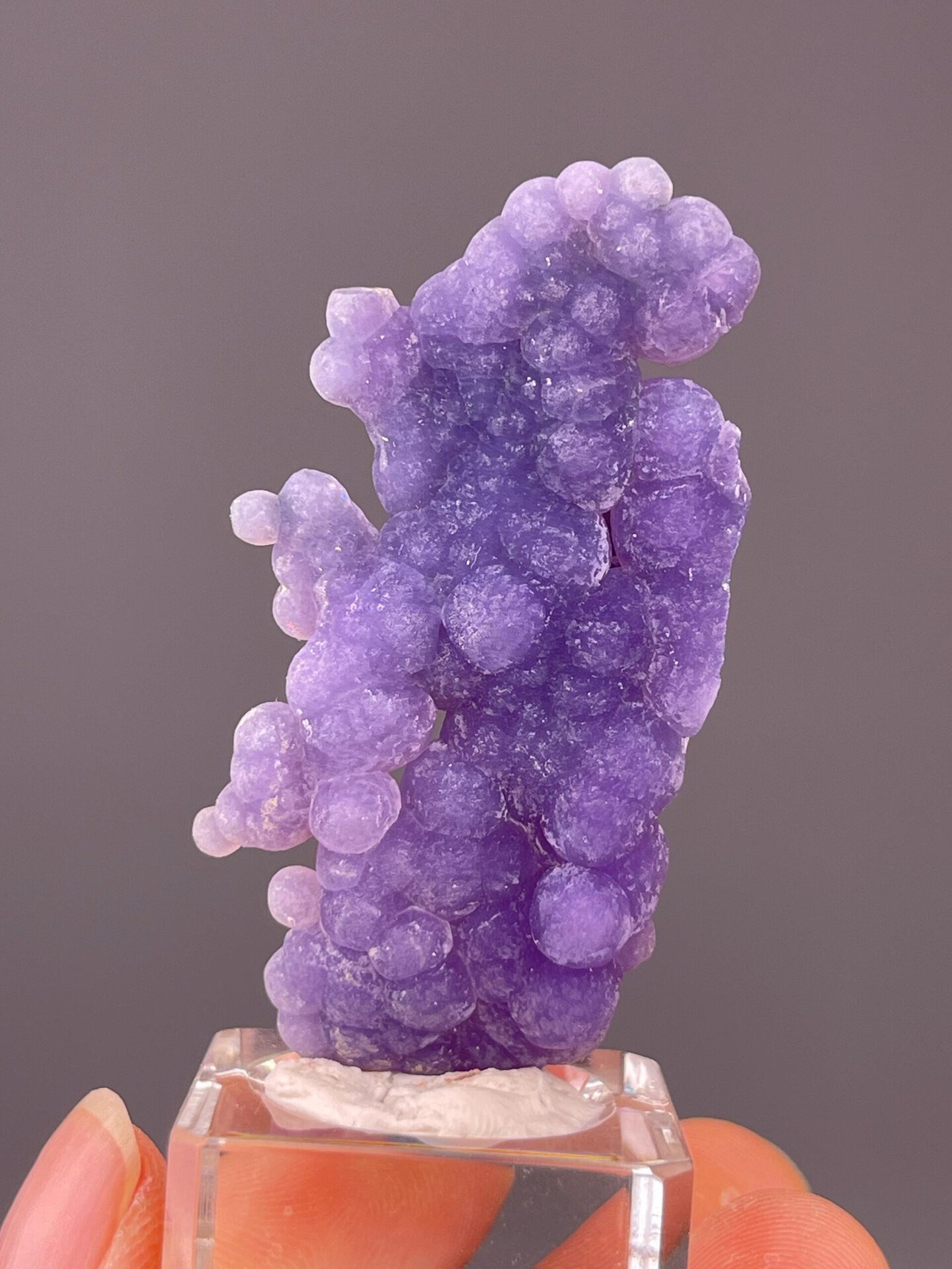 Intense purple hues of Mamuju grape agate under light