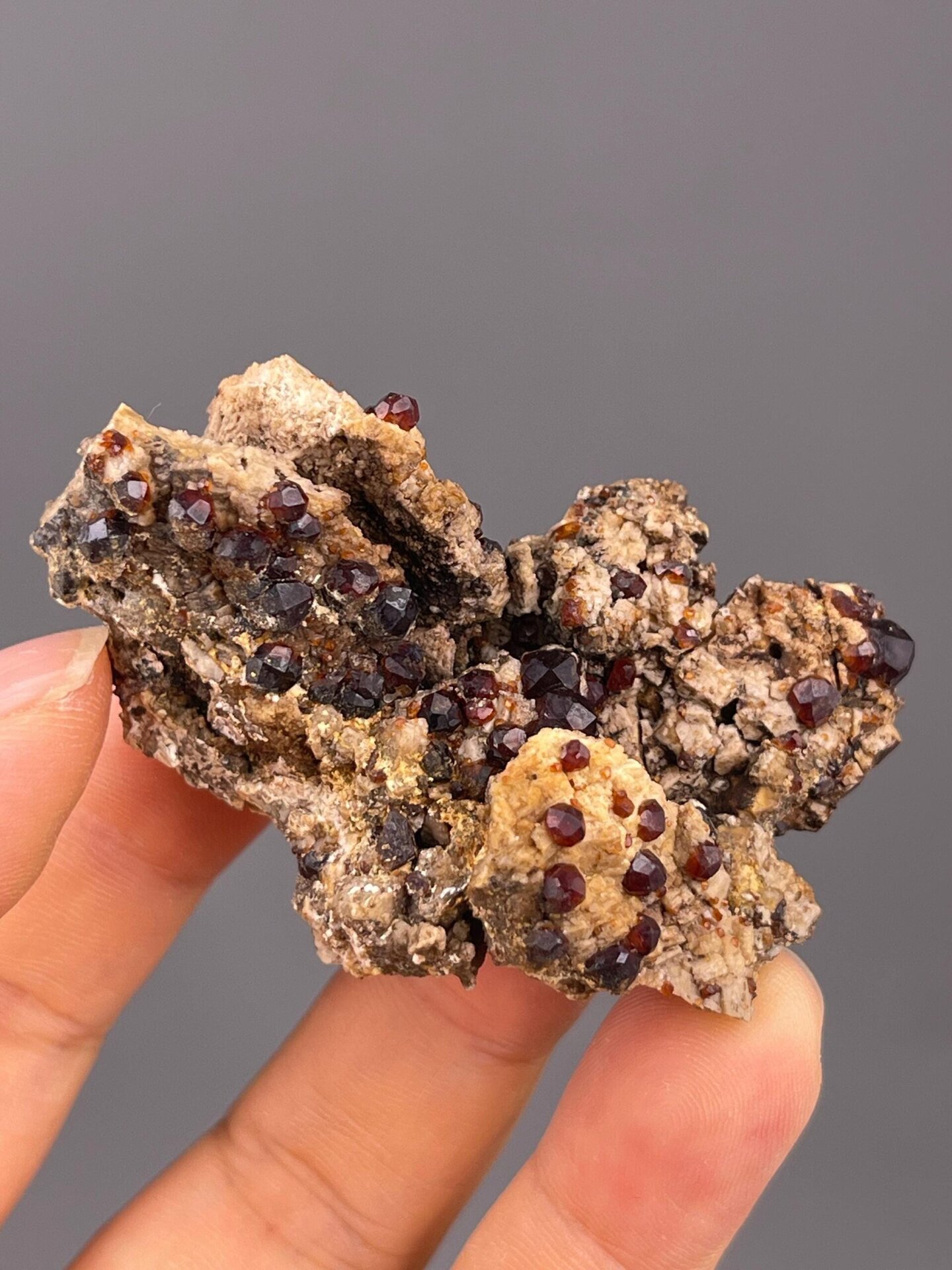 Top view of almandine garnets on schist