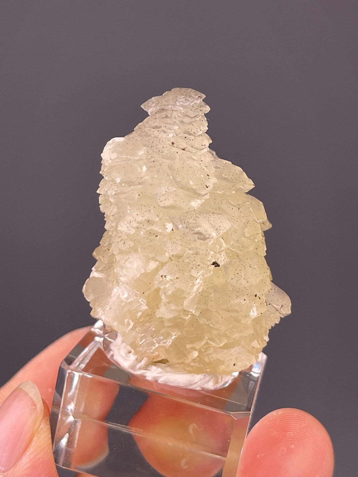 Pyrite specks gleaming within calcite crystal structure