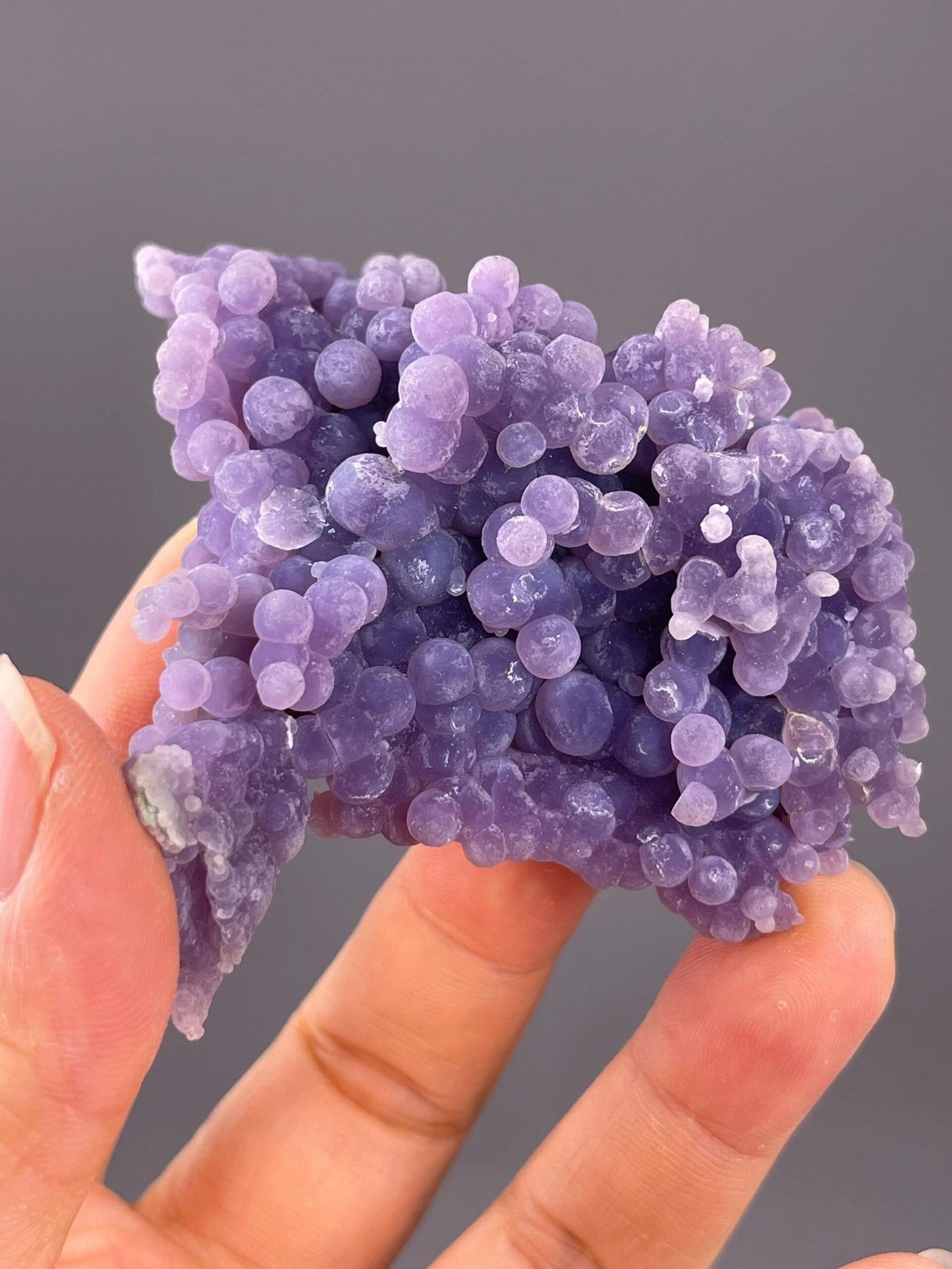 Indonesian grape agate under studio lighting