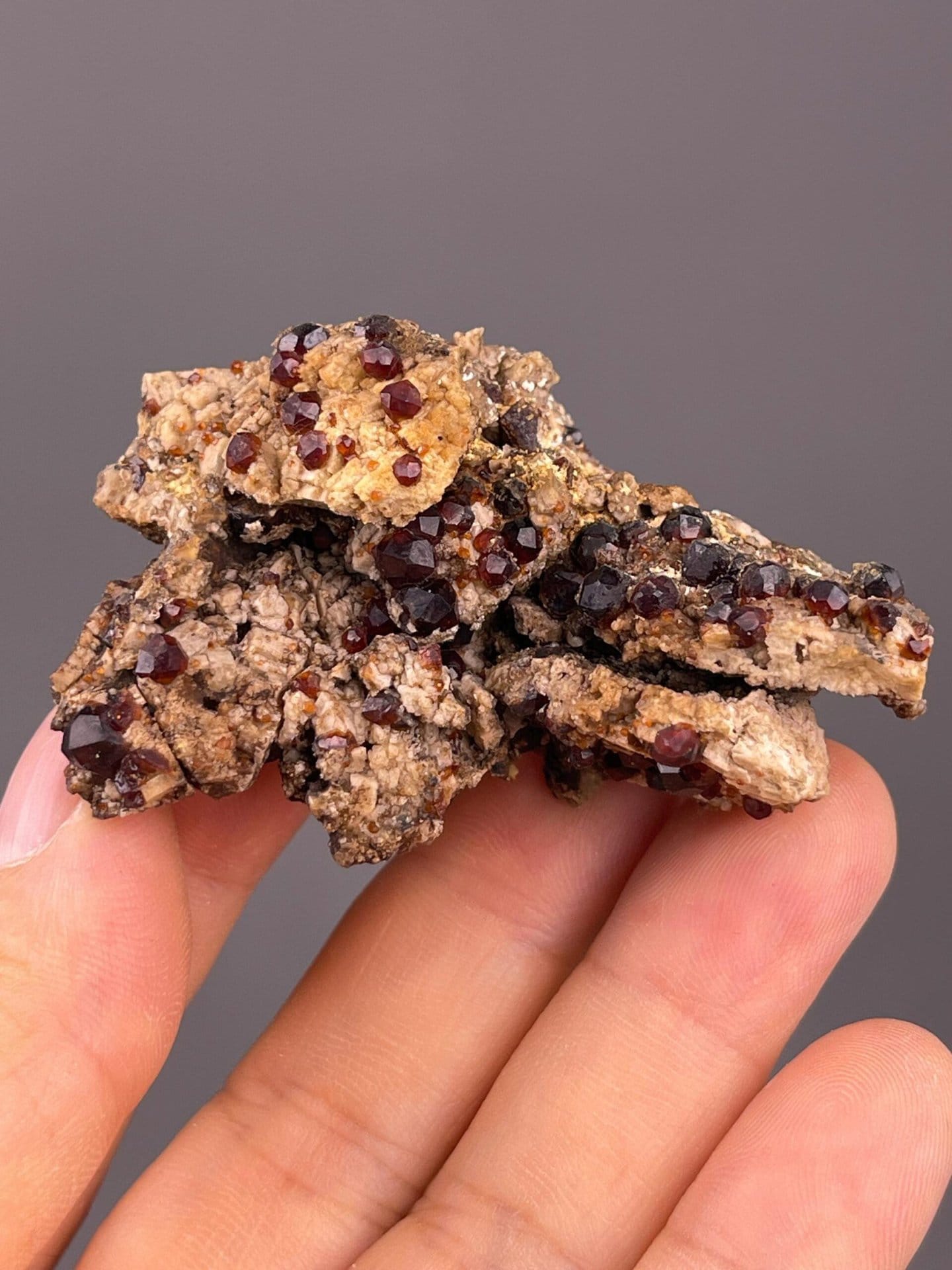Back view of garnet cluster on schist matrix