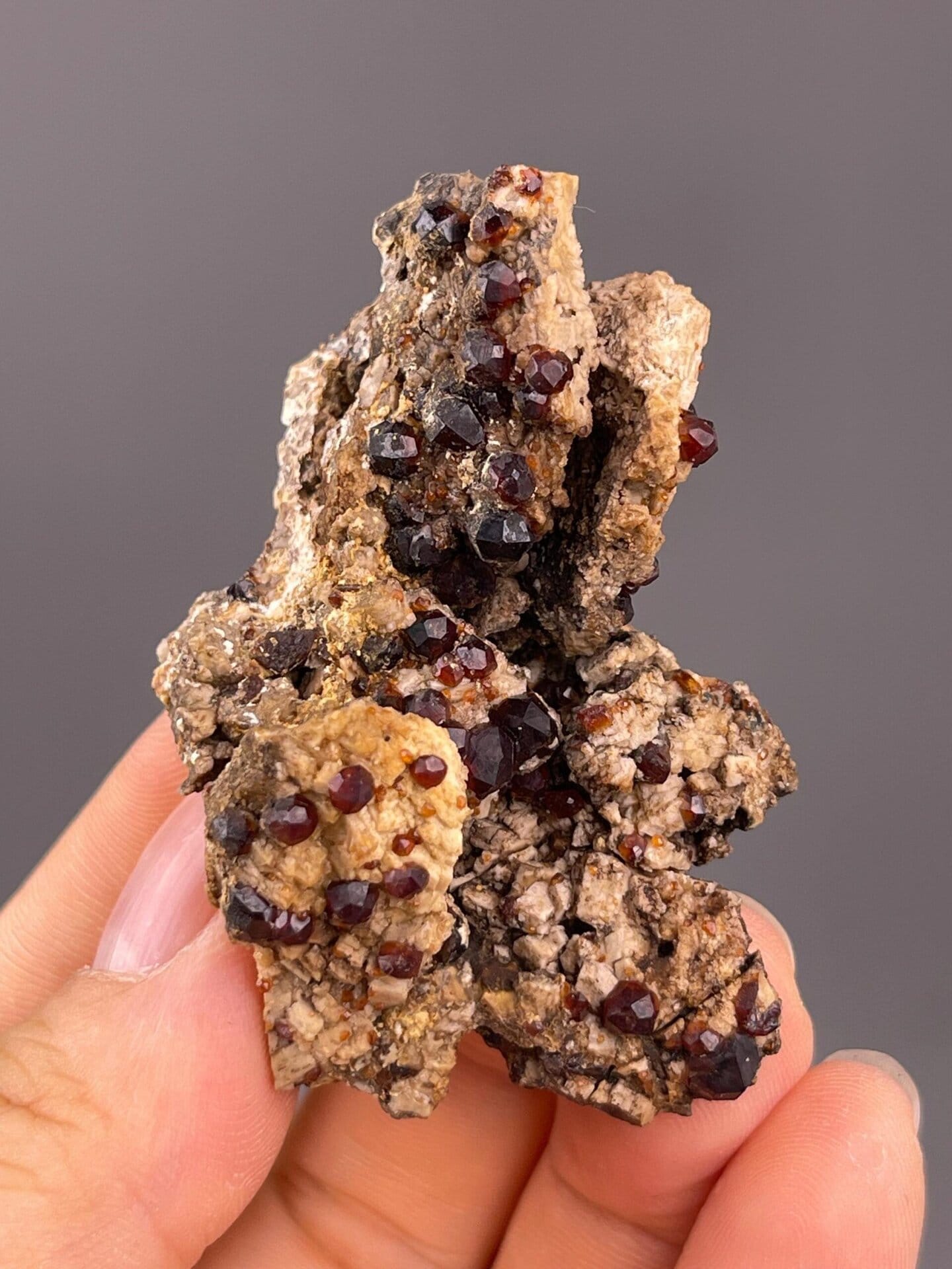 Scale reference of almandine garnet cluster specimen