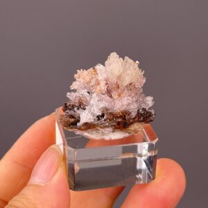 Selenite Rosette - Gypsum Floral Formation - Peach and White Hues - Guizhou, China - Stunning Crystal Display