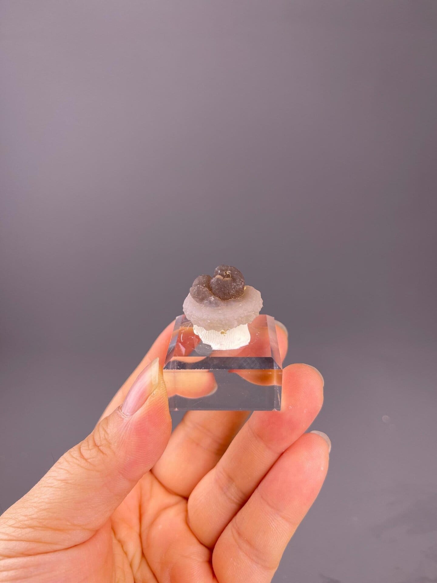 Front view of panda calcite showing colour contrast