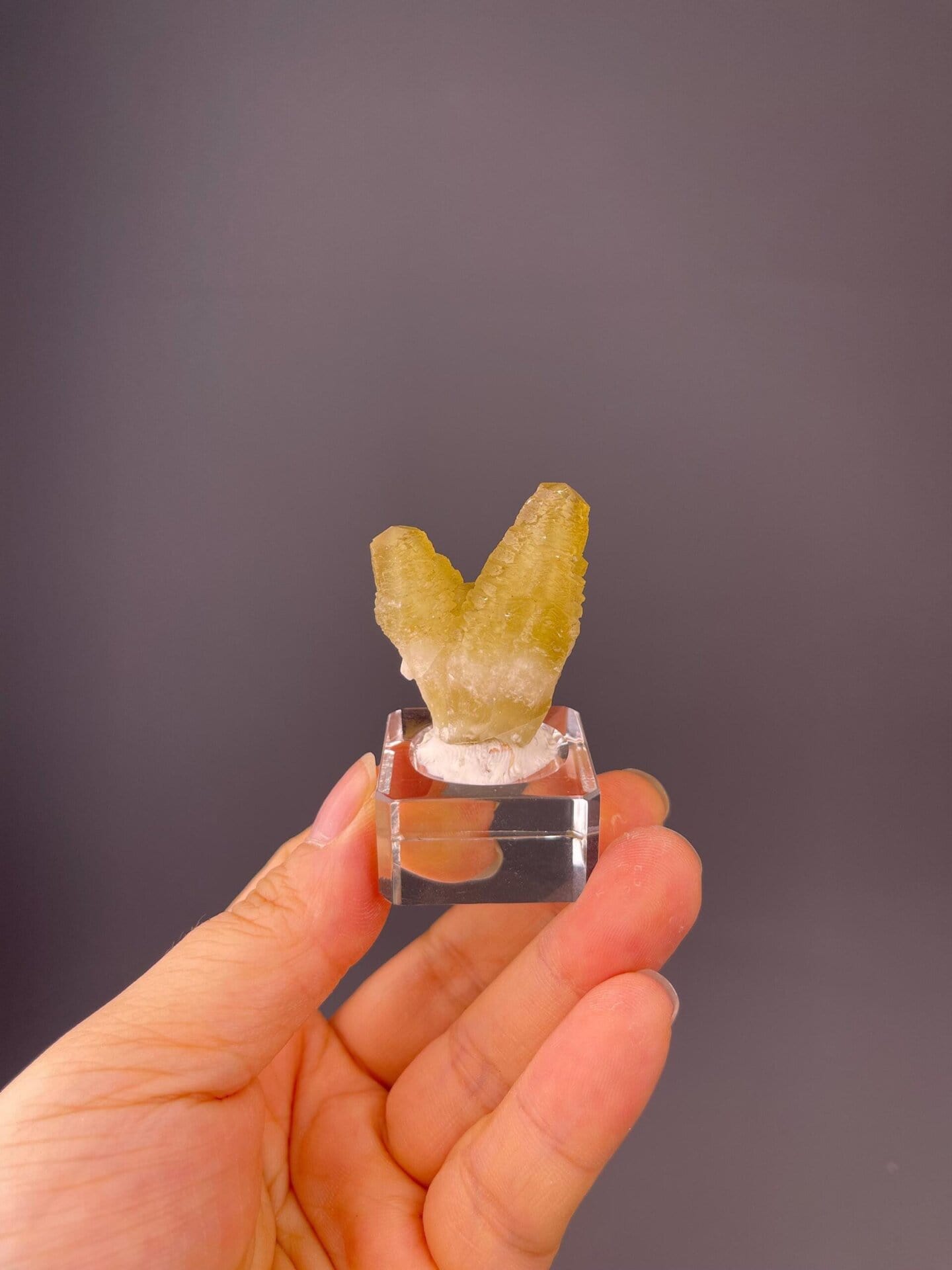 Golden-yellow calcite twin formation showing both terminations
