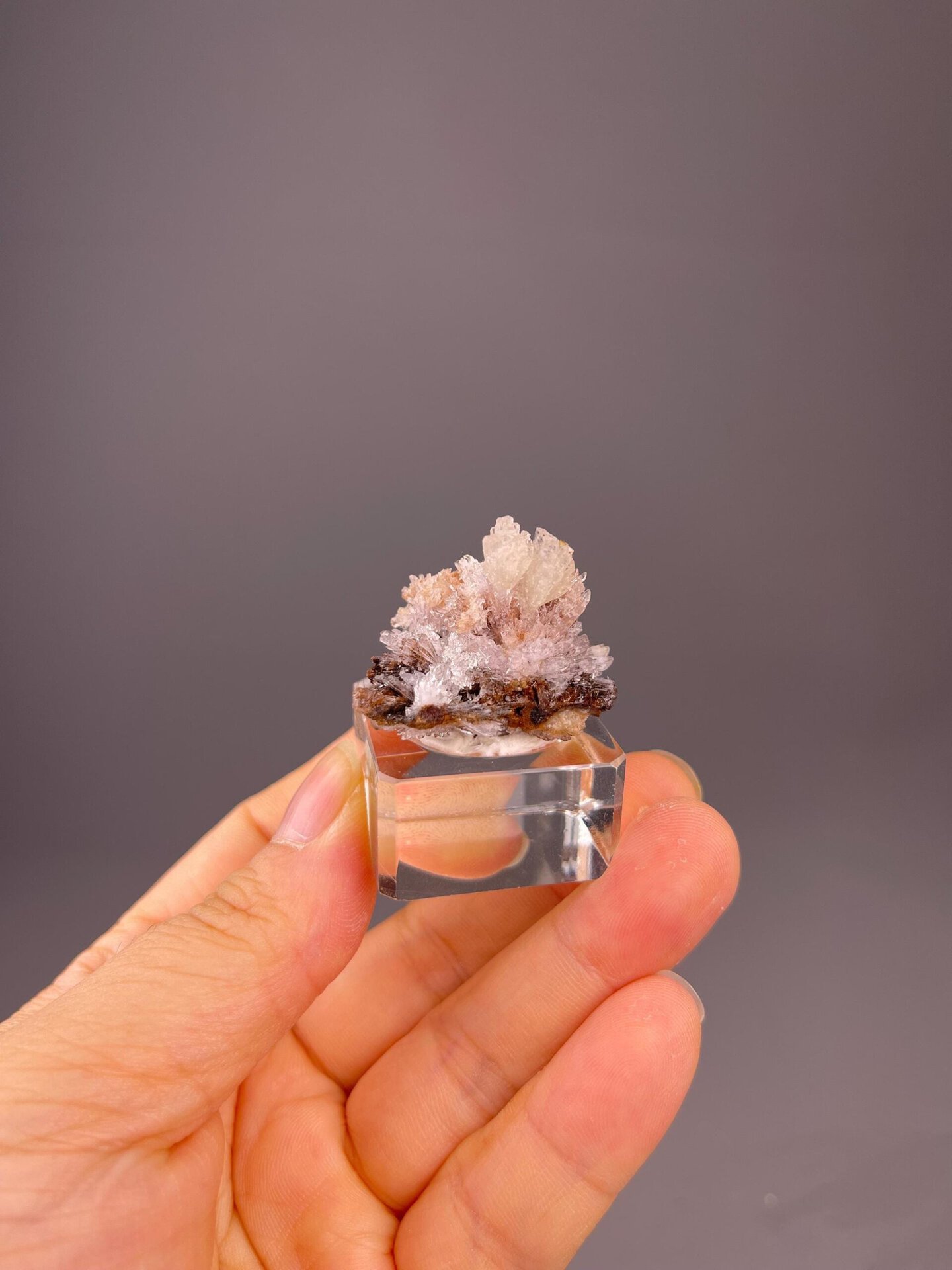 Front view of selenite gypsum flower showing radiating crystals