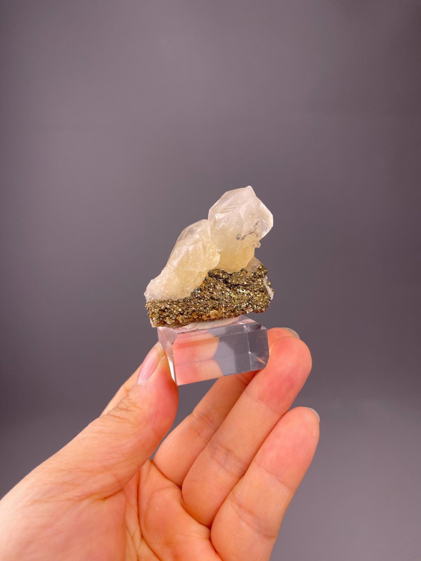 Front view of calcite on pyrite cluster showing warm translucent tone