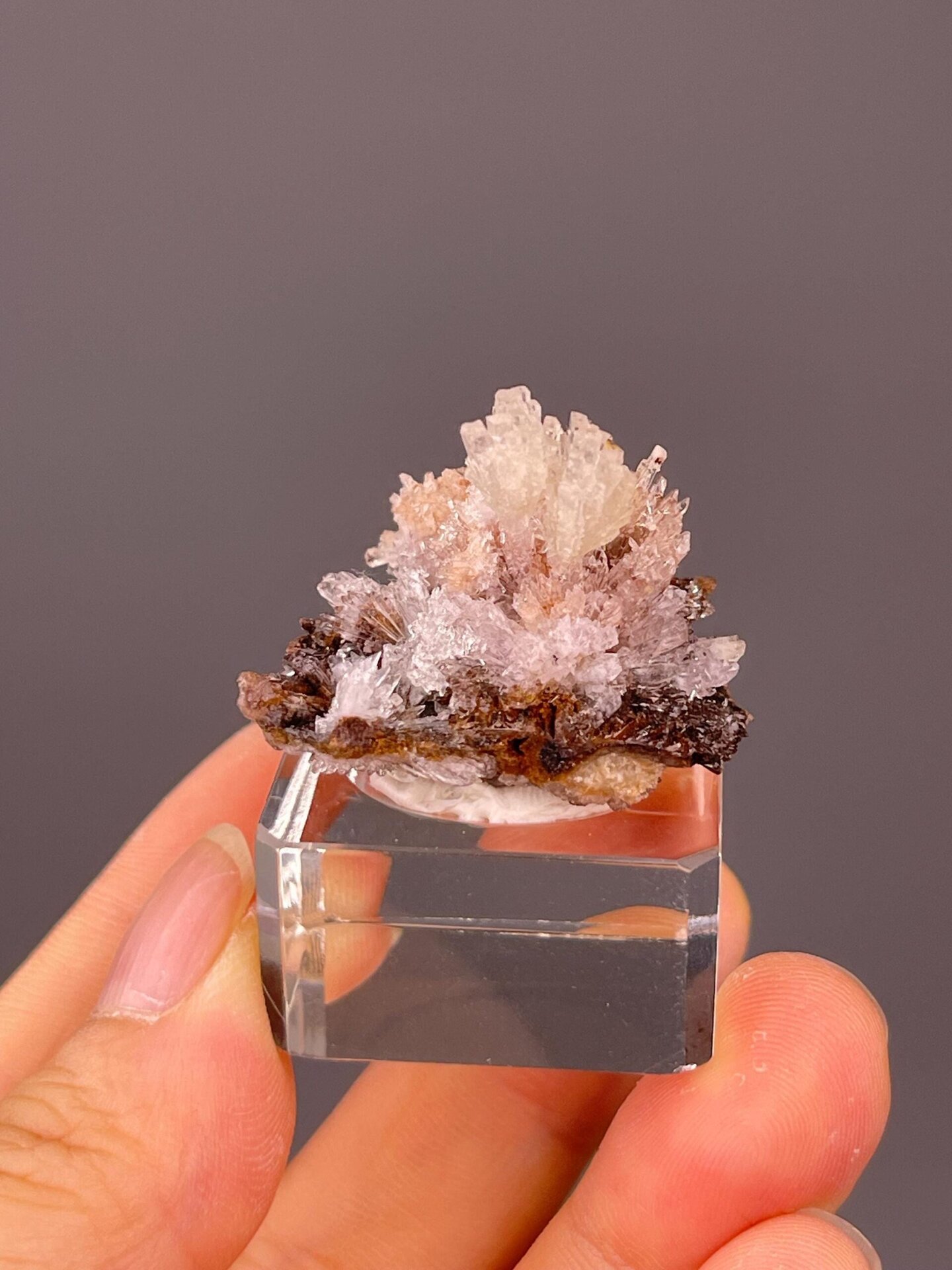 Back view of Guizhou selenite gypsum flower
