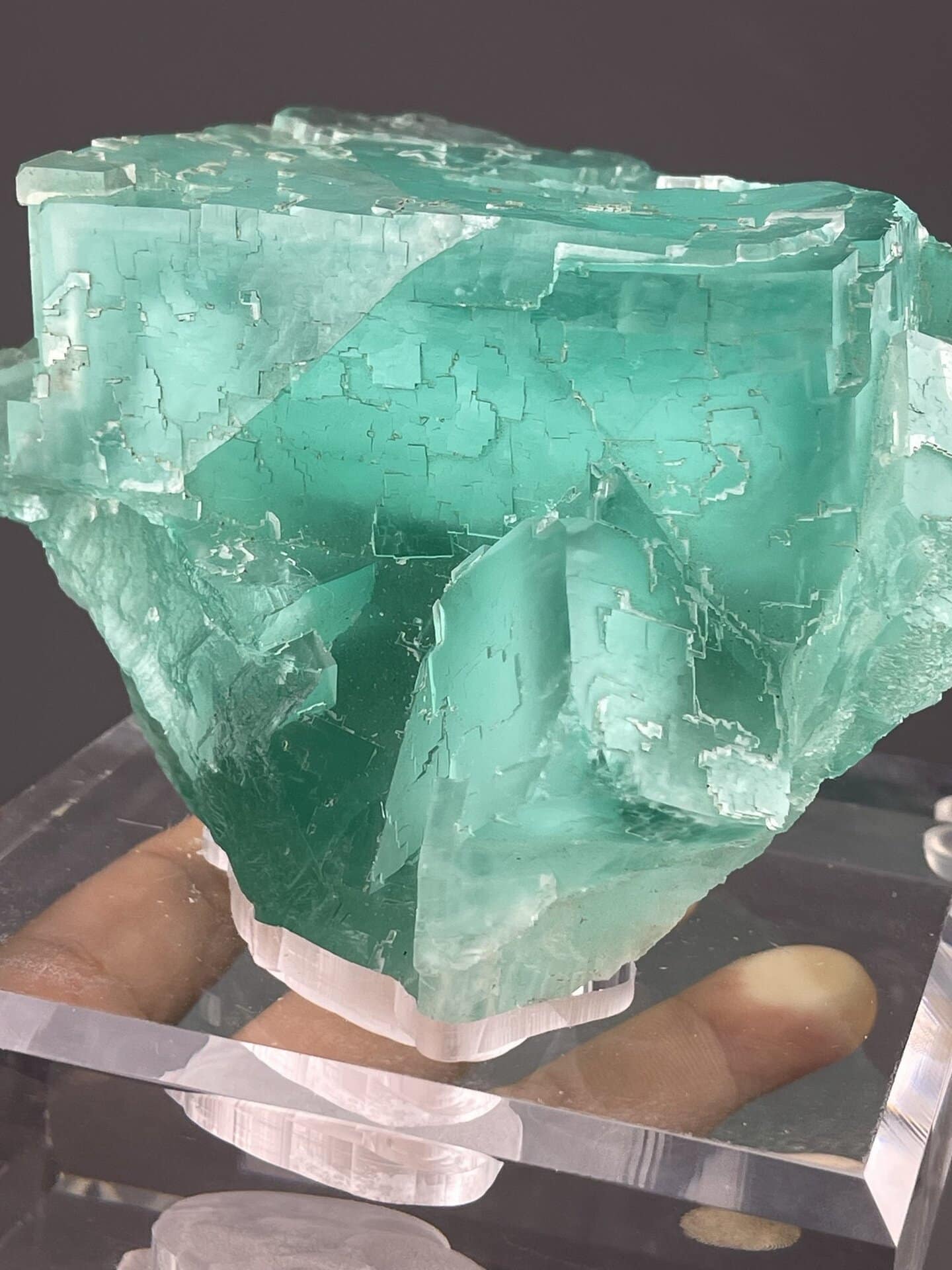 Translucent green fluorite cluster side view, Yaogangxian Mine, Hunan