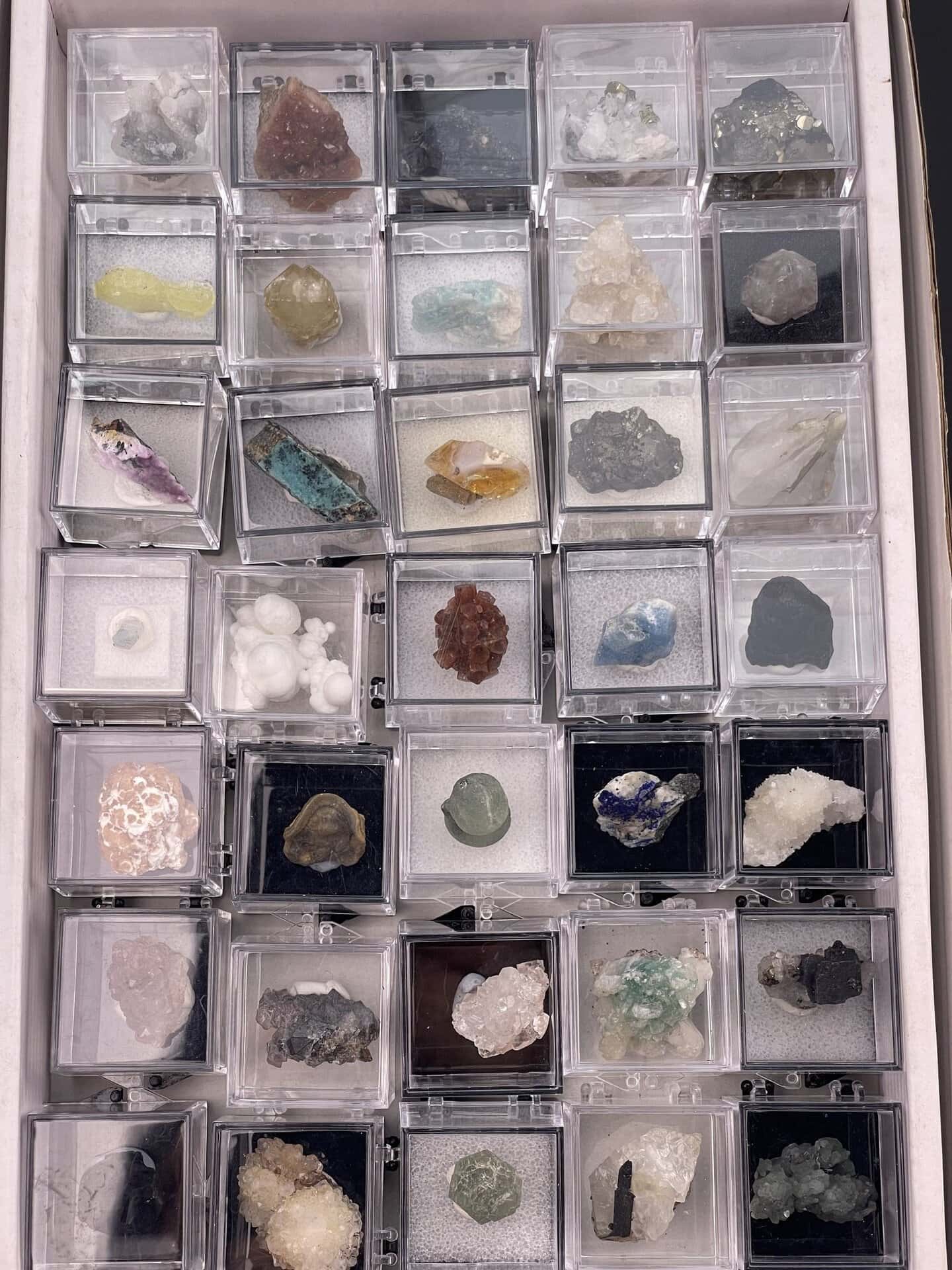 Close-up of assorted mineral specimens showing colour variety