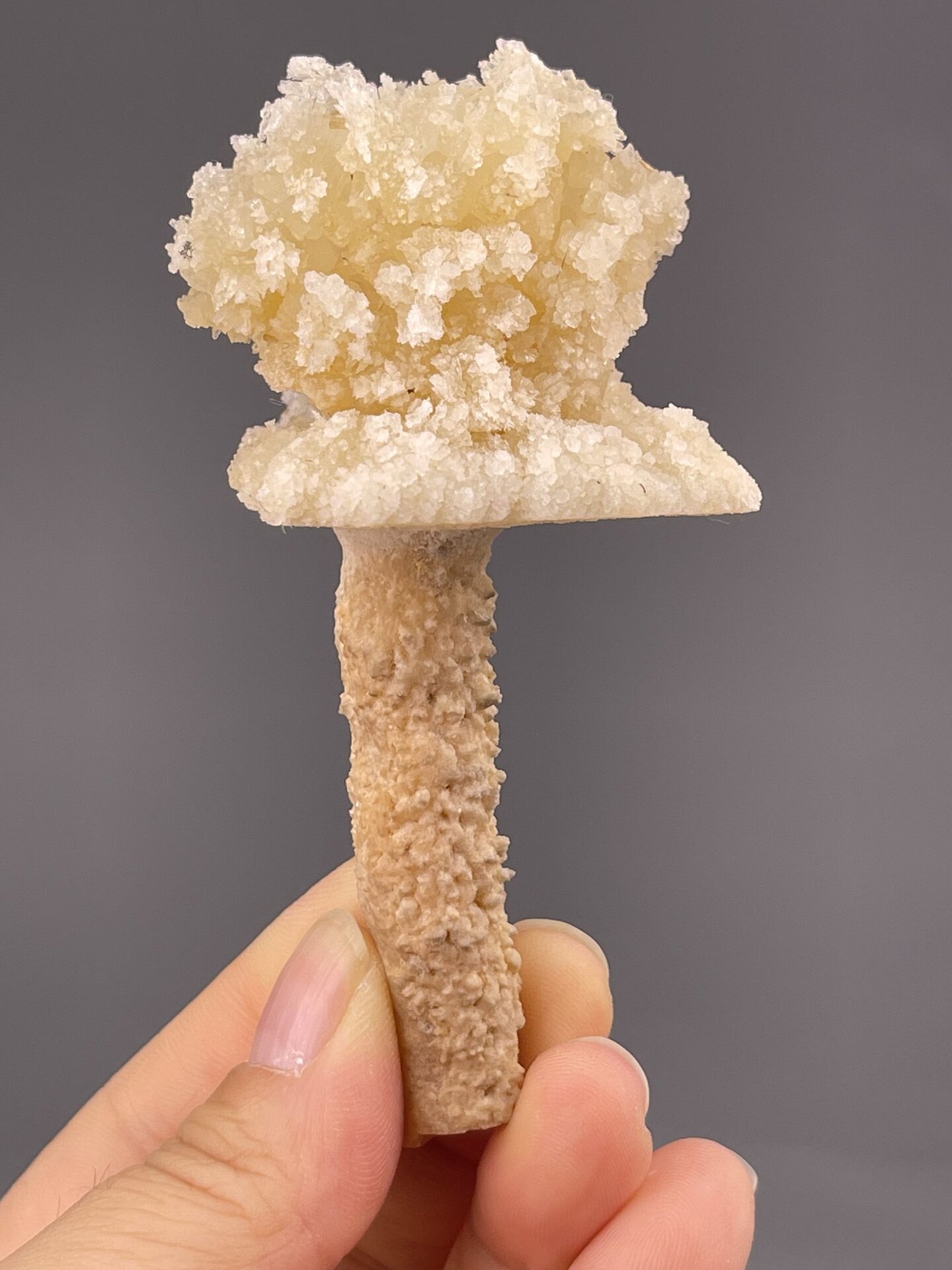 Close-up of druzy quartz cap showing sparkle on columnar crystal