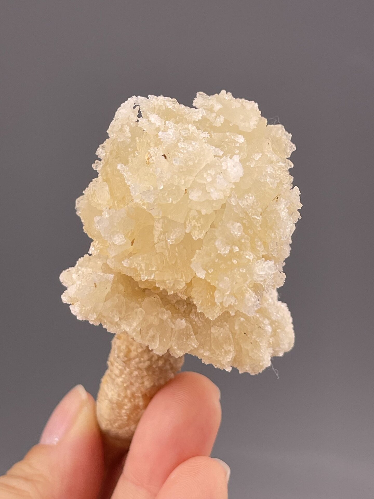 Top view of quartz cluster showing druzy crystal arrangement
