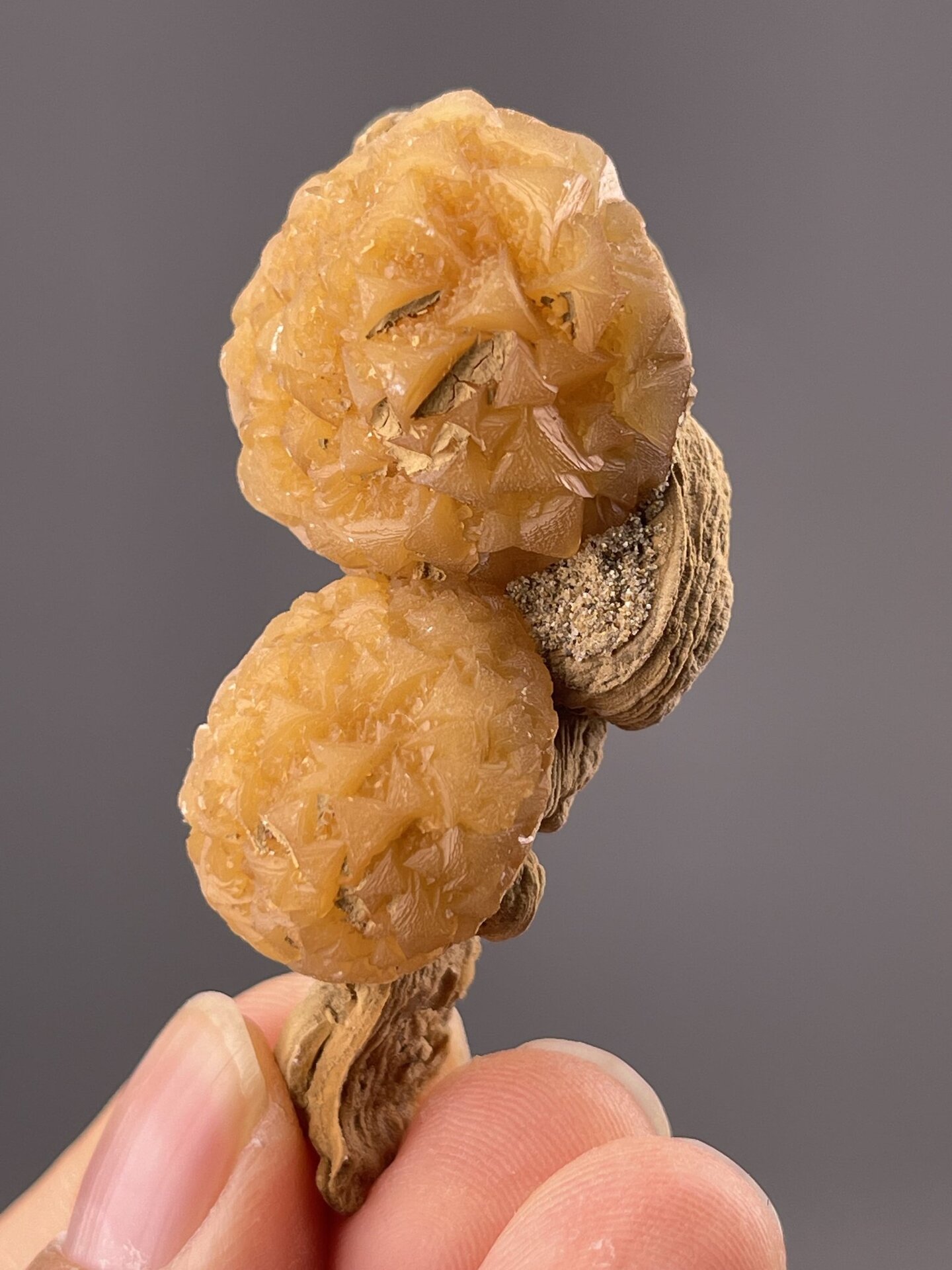 Close-up of calcite botryoids showing orange-gold coloration