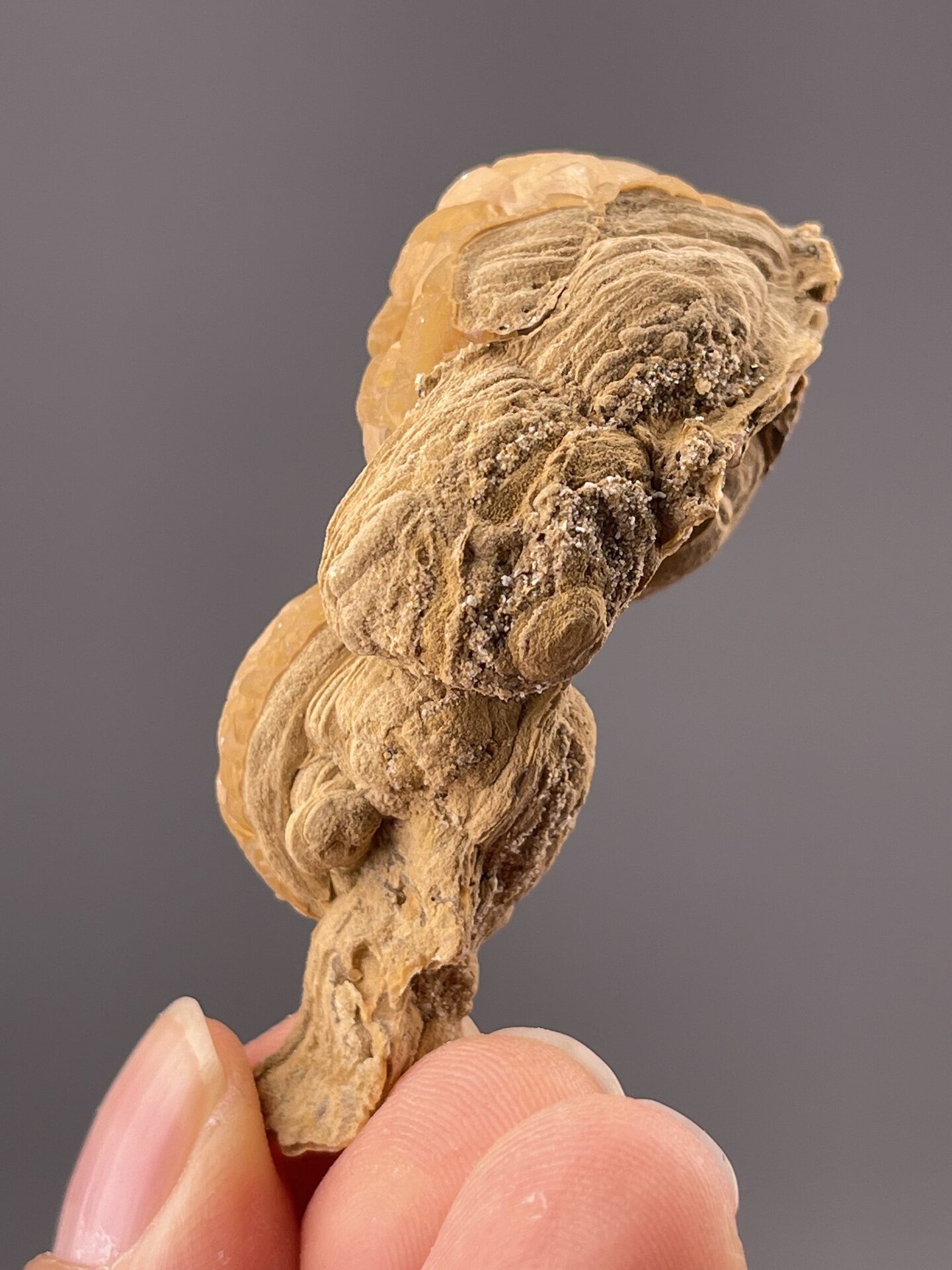 CaCO₃ trigonal calcite with botryoidal habit, Hechi, Guangxi, China