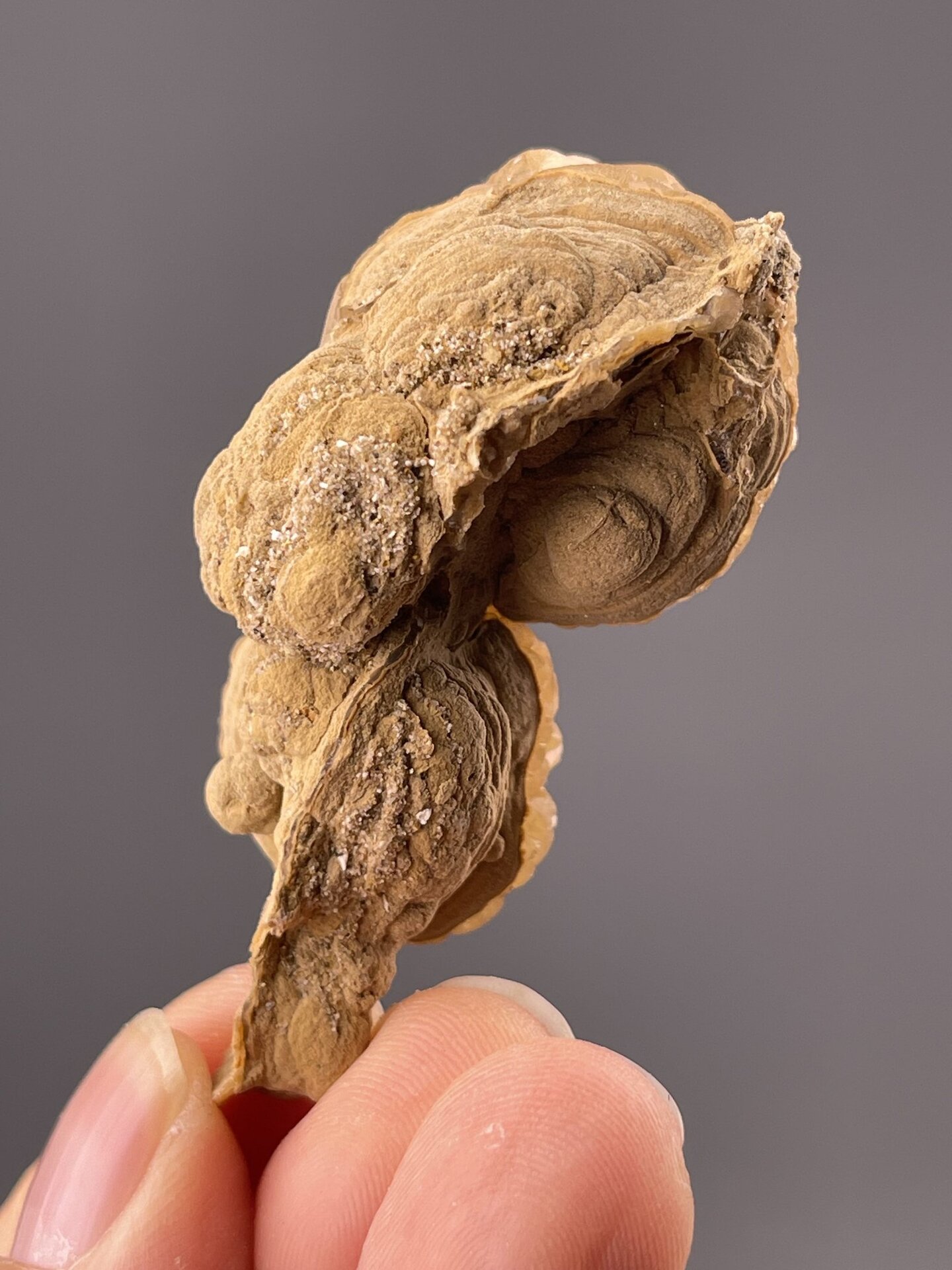 Top view of orange calcite showing botryoidal surface pattern