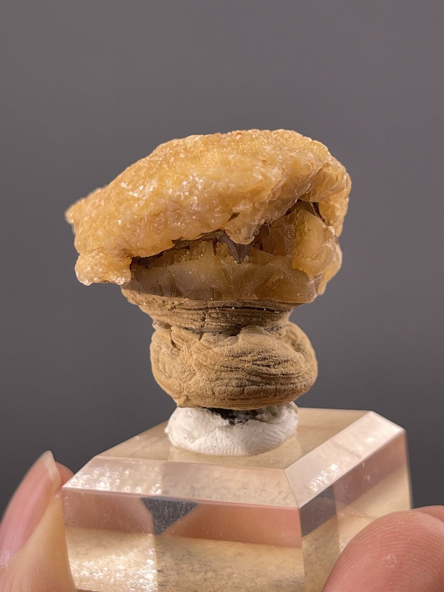 Close-up of calcite mammillary surface showing golden-orange colouring