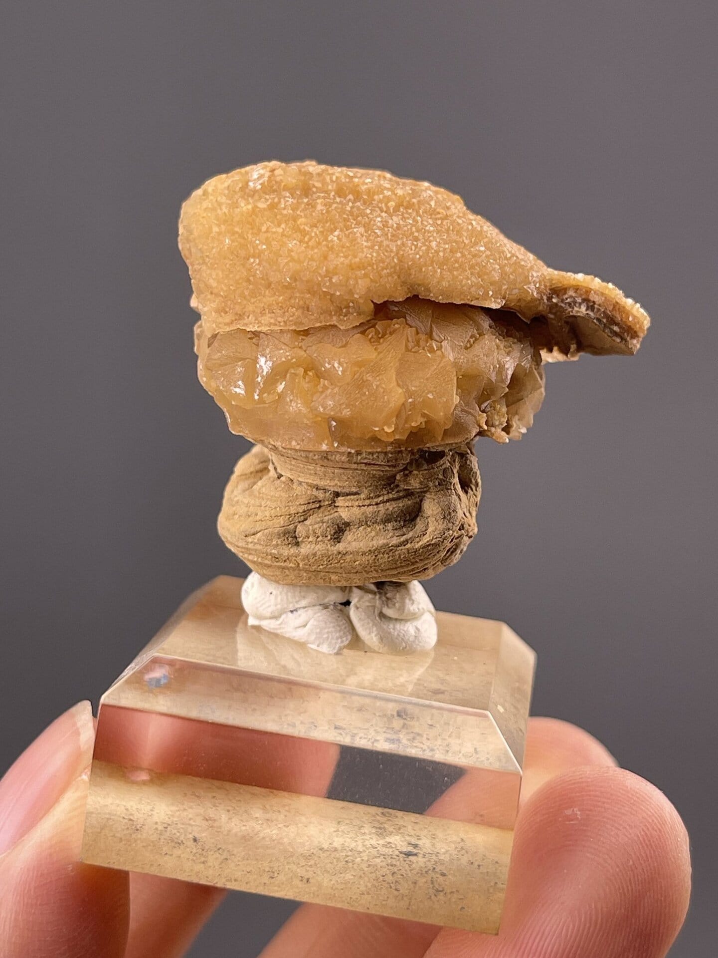 Top view of orange calcite specimen showing rounded surface pattern