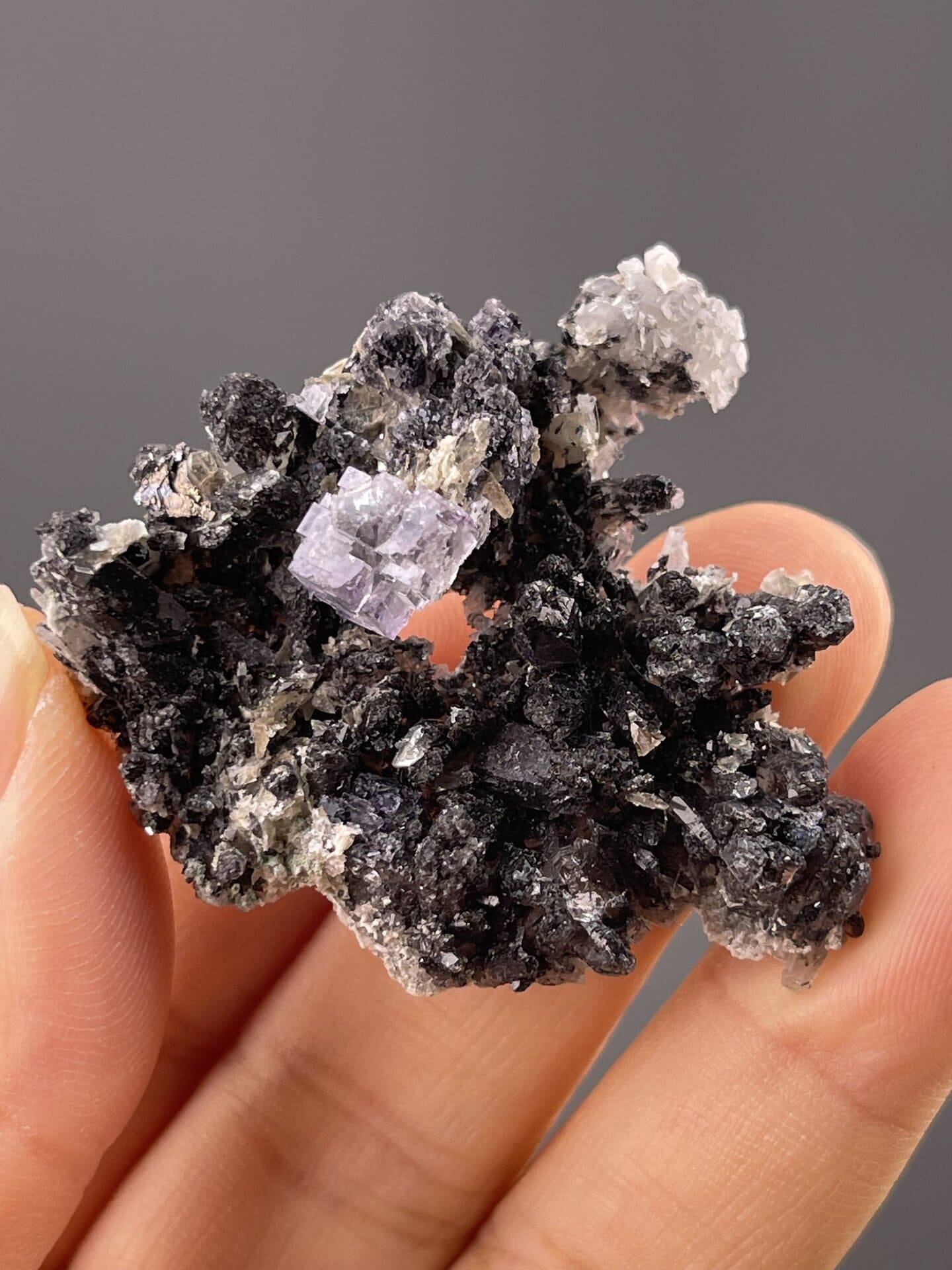Lilac fluorite perched on dark sphalerite base, Yaogangxian, 0.5 g