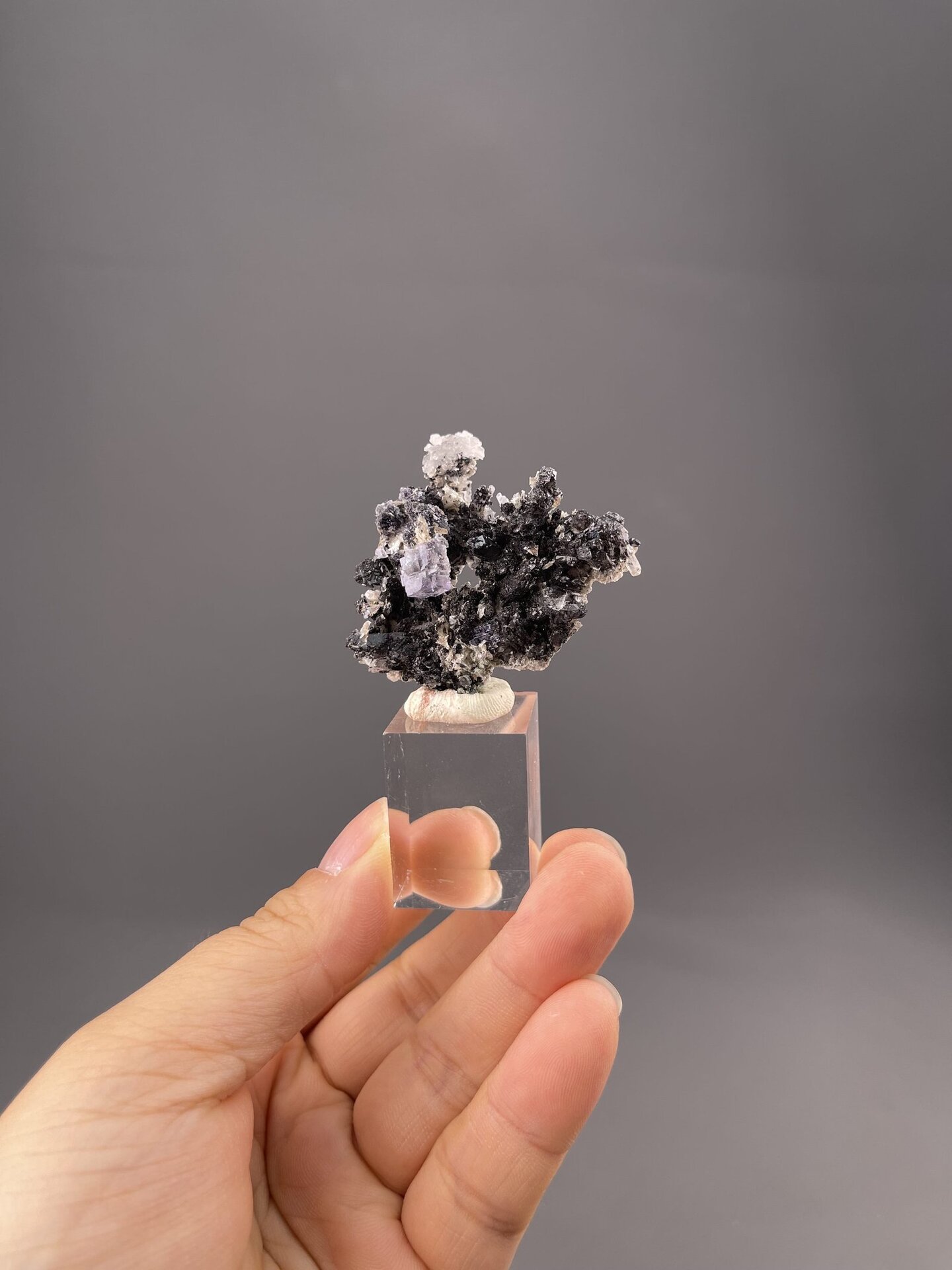 Front view of fluorite on sphalerite, 16×5×17 mm, Yaogangxian