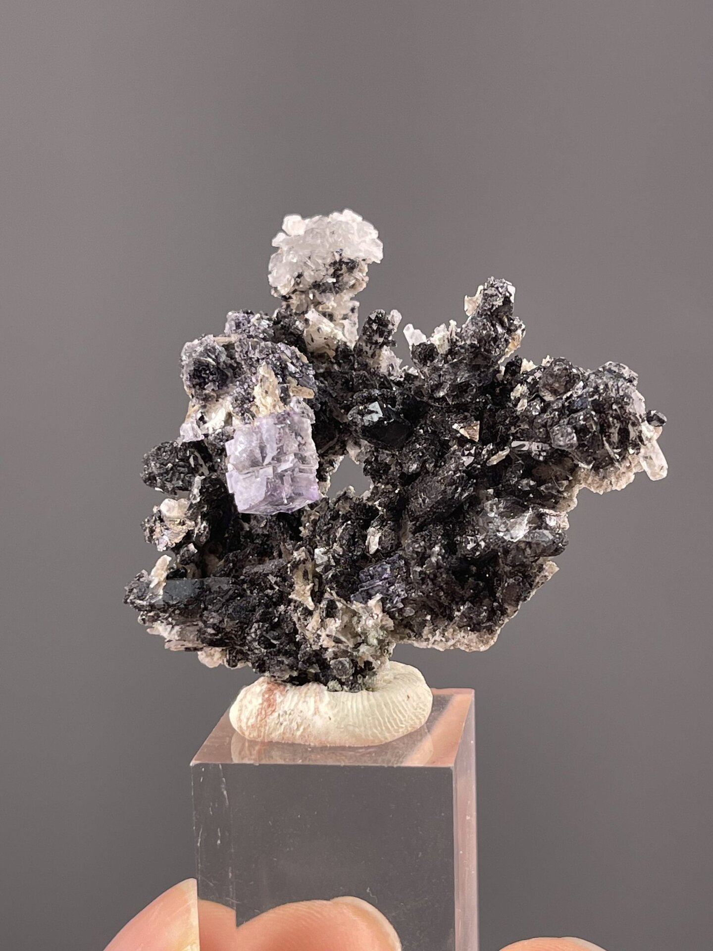 Close-up of purple fluorite cube showing mineral contrast
